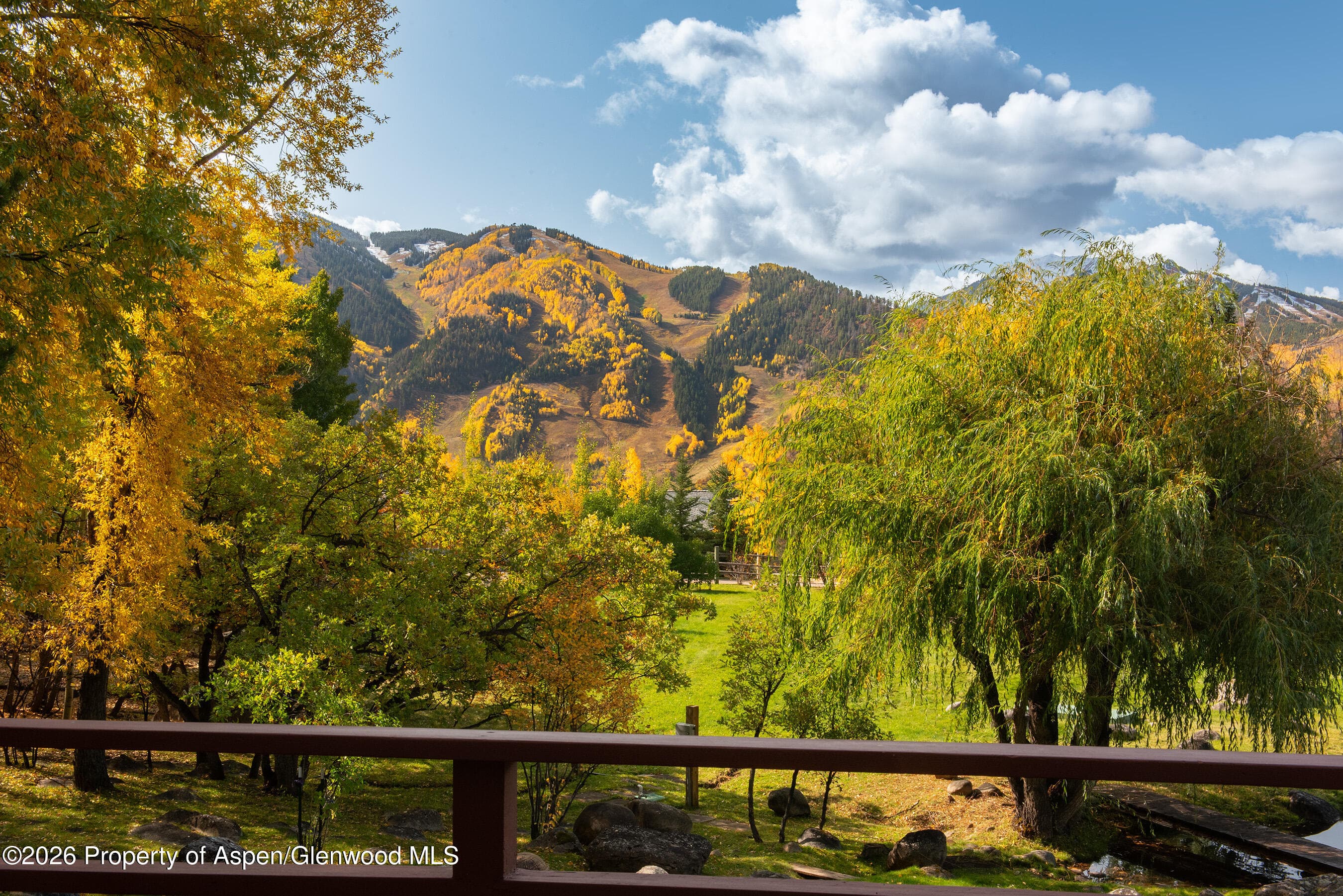 209 E Reds Road Main House, Aspen, CO 81611 - Photo 35