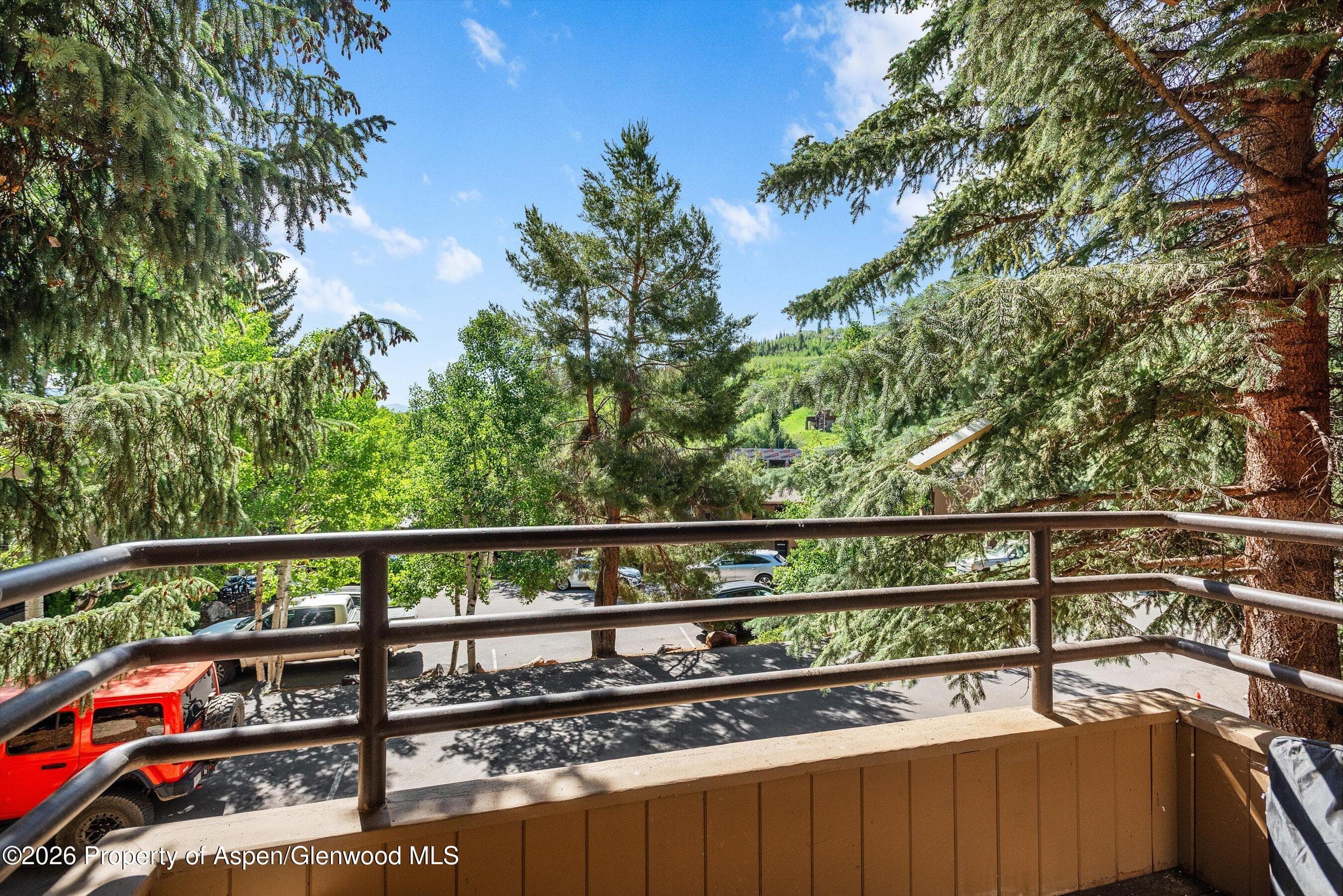 35 Lower Woodbridge Road U175, Snowmass Village, CO 81615 - Photo 18