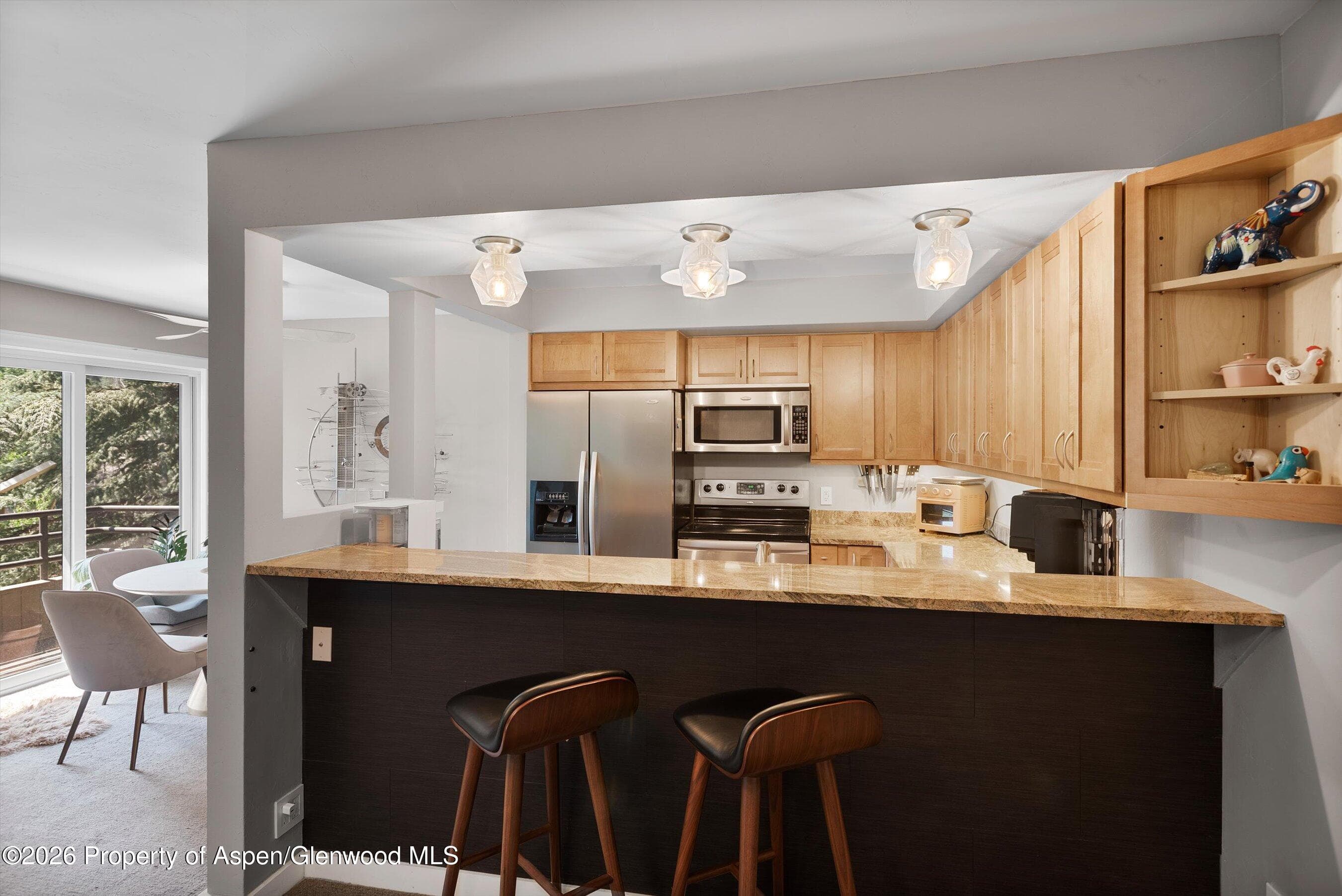 35 Lower Woodbridge Road U175, Snowmass Village, CO 81615 - Photo 10
