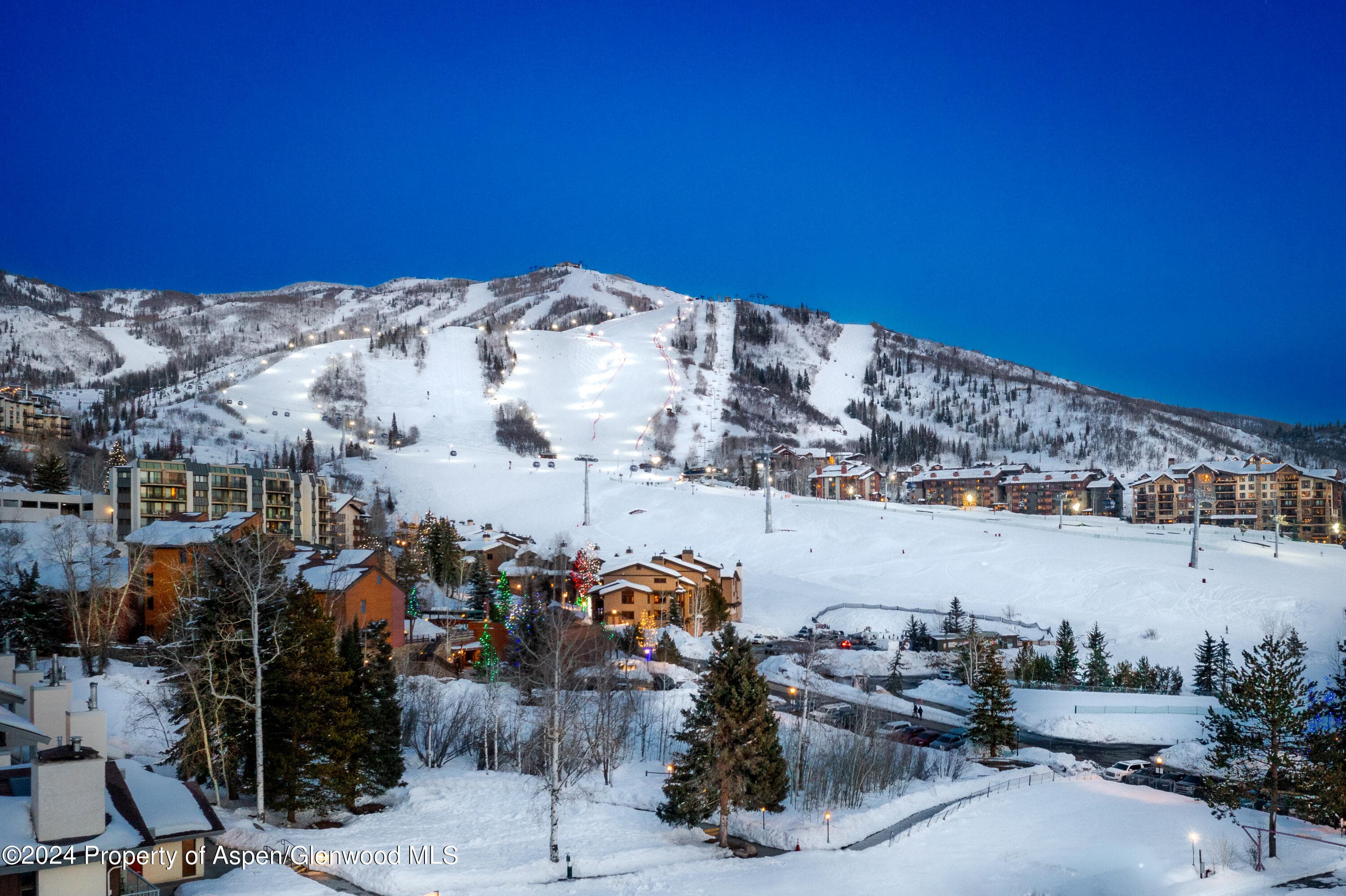 1855 Burgess Creek Road 4, Steamboat, CO 80487 - Photo 17