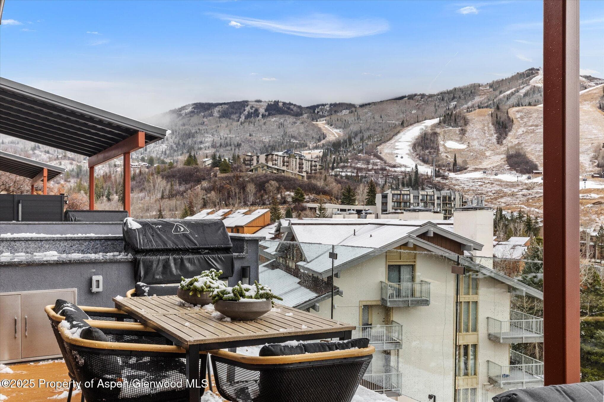 1855 Burgess Creek Road 4, Steamboat, CO 80487 - Photo 18