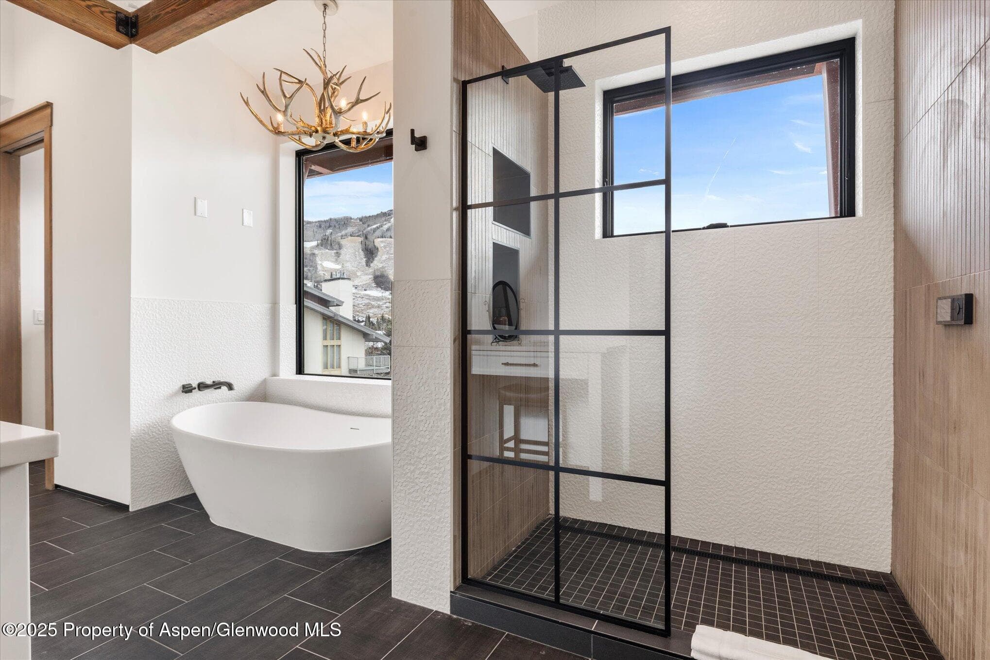 1855 Burgess Creek Road 4, Steamboat, CO 80487 - Photo 28