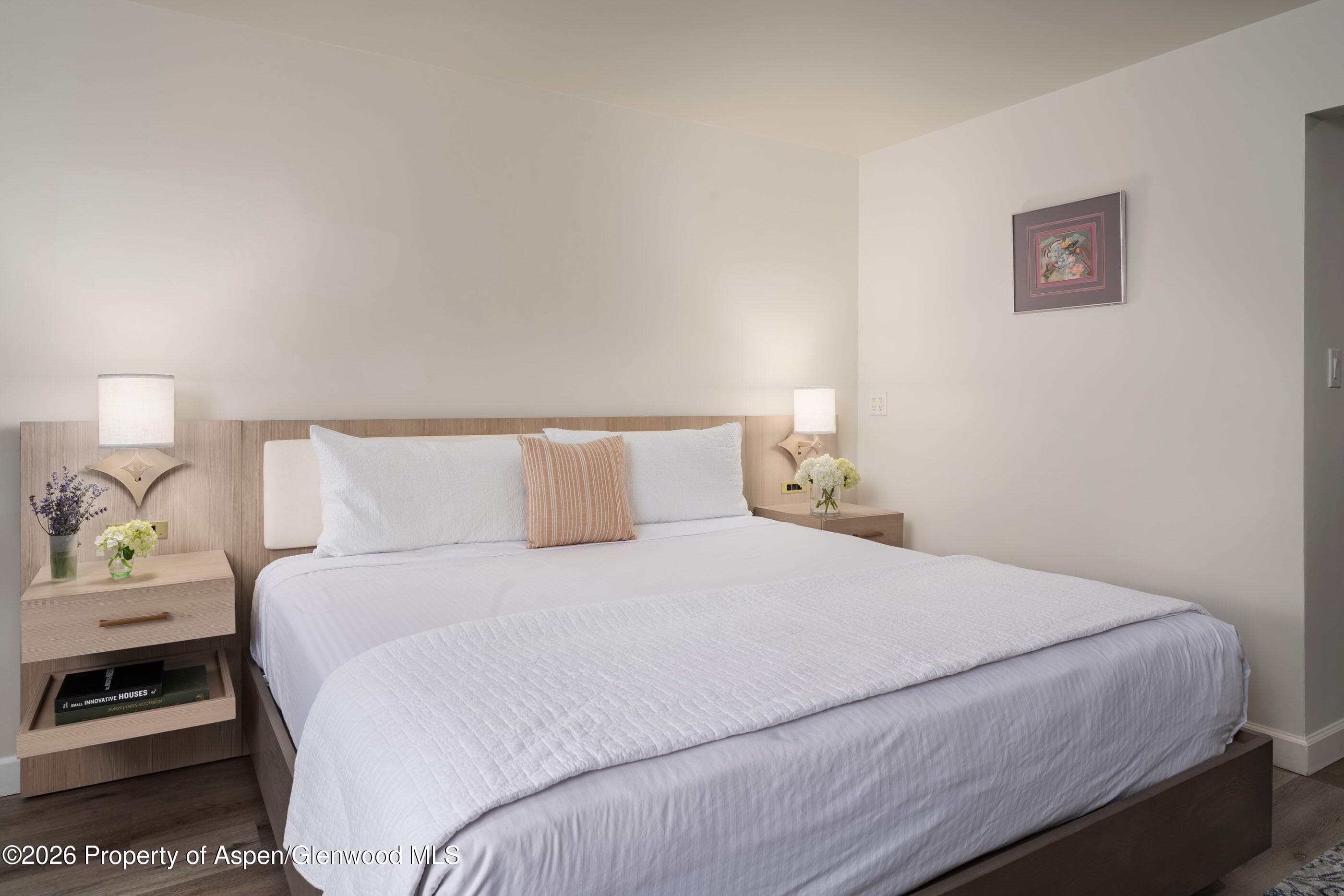 38750 Highway 82 2273, Aspen, CO 81611 - Photo 5