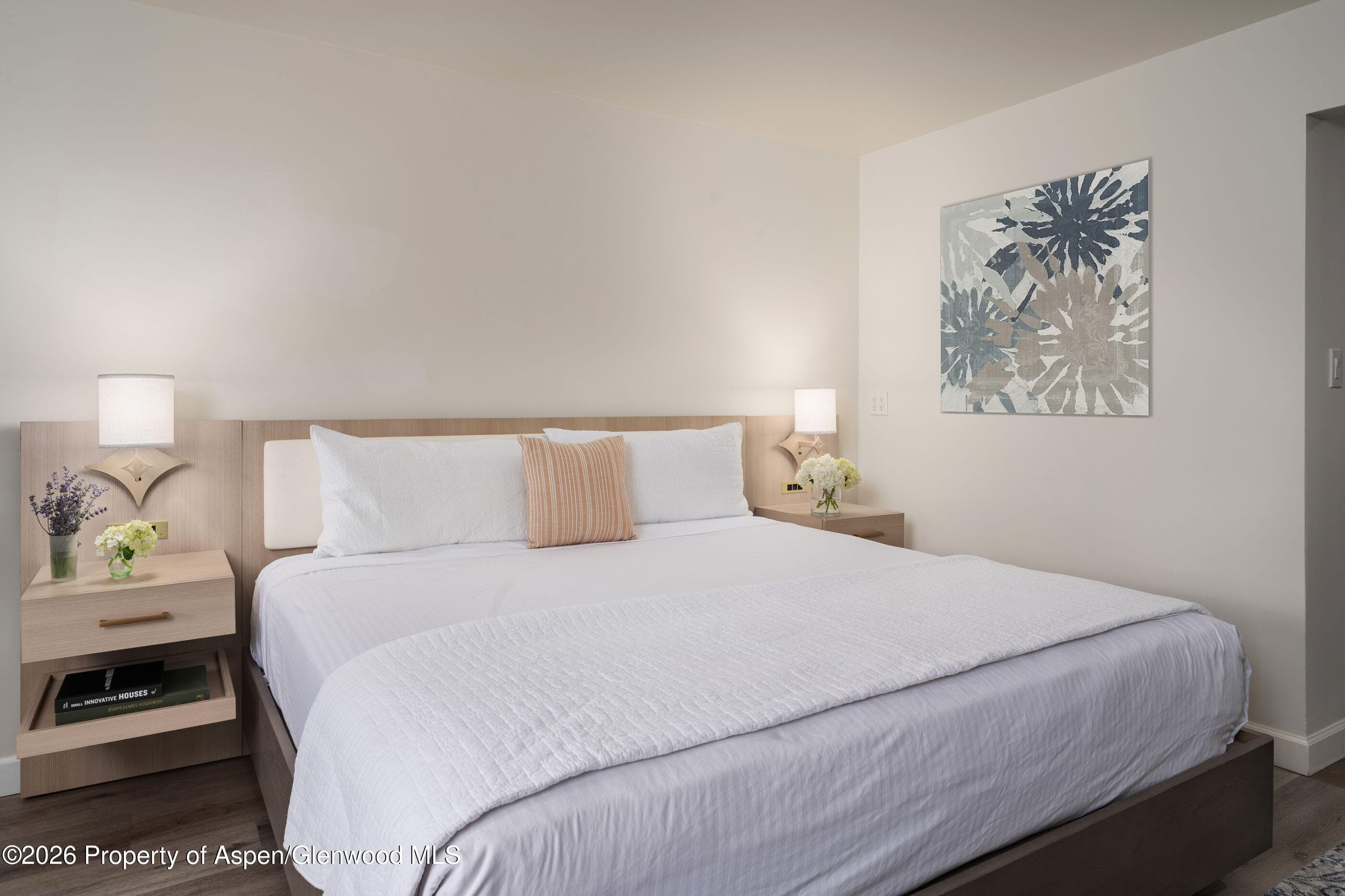 38750 Highway 82 2273, Aspen, CO 81611 - Photo 6