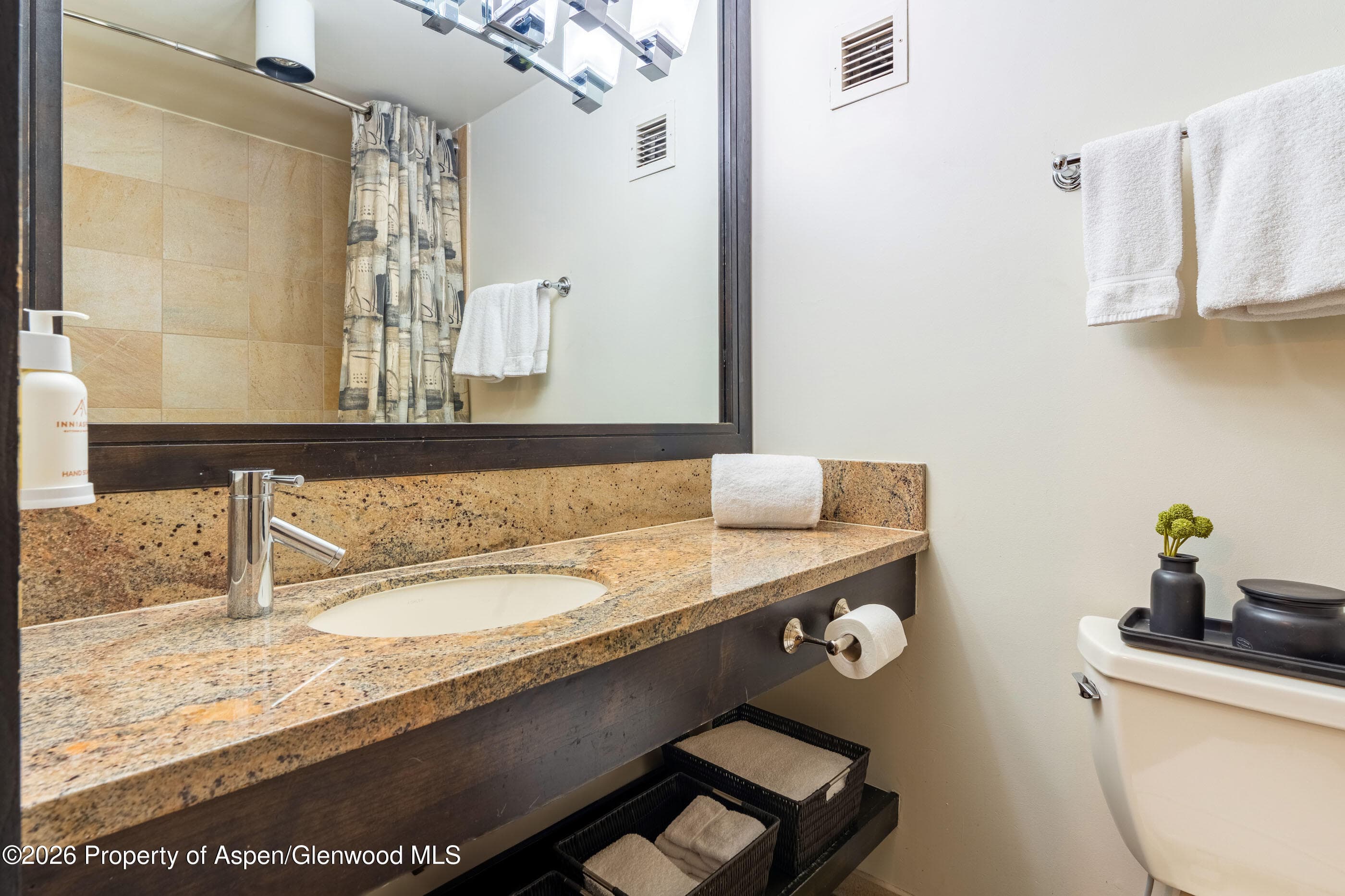 38750 Highway 82 2273, Aspen, CO 81611 - Photo 9