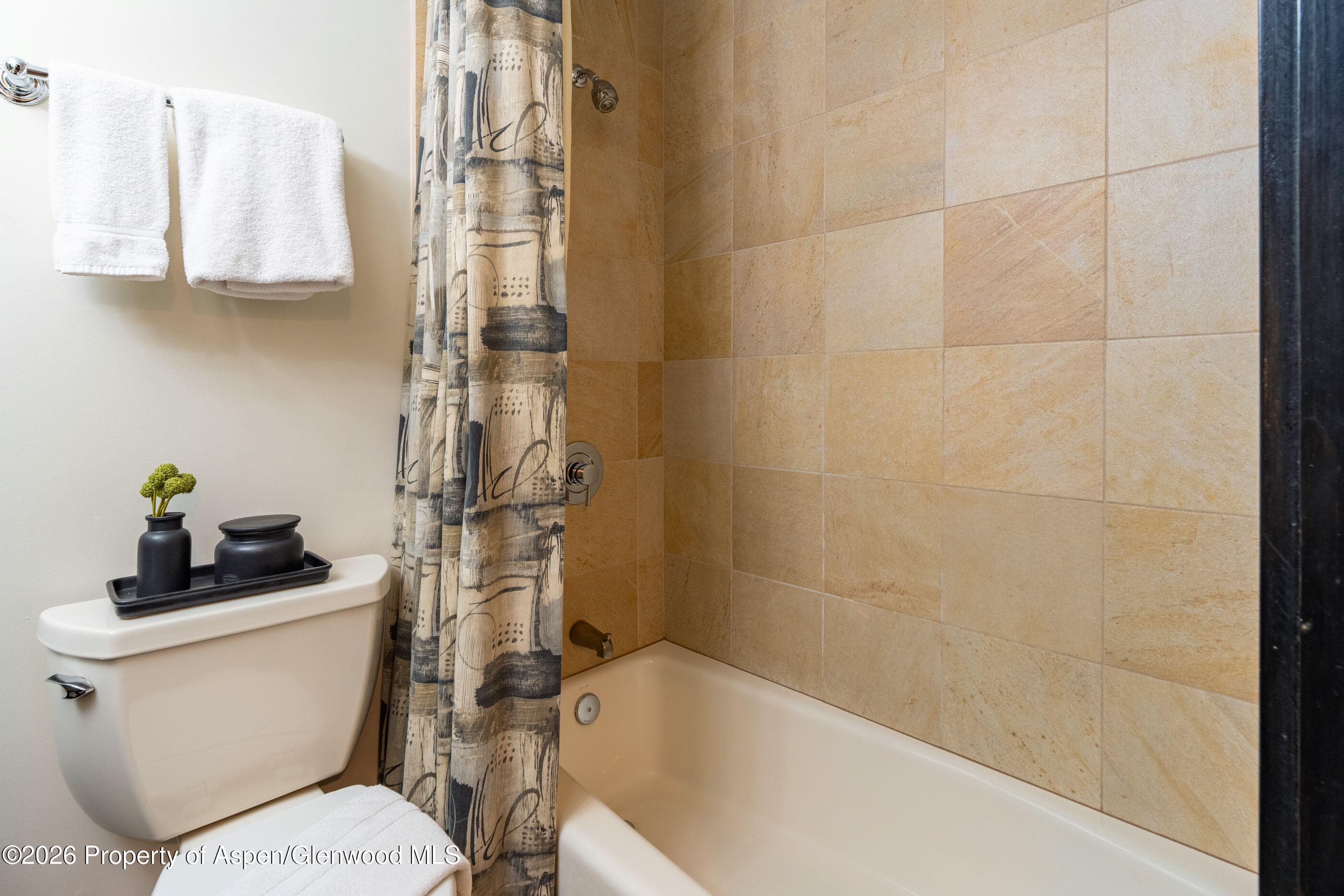 38750 Highway 82 2273, Aspen, CO 81611 - Photo 10