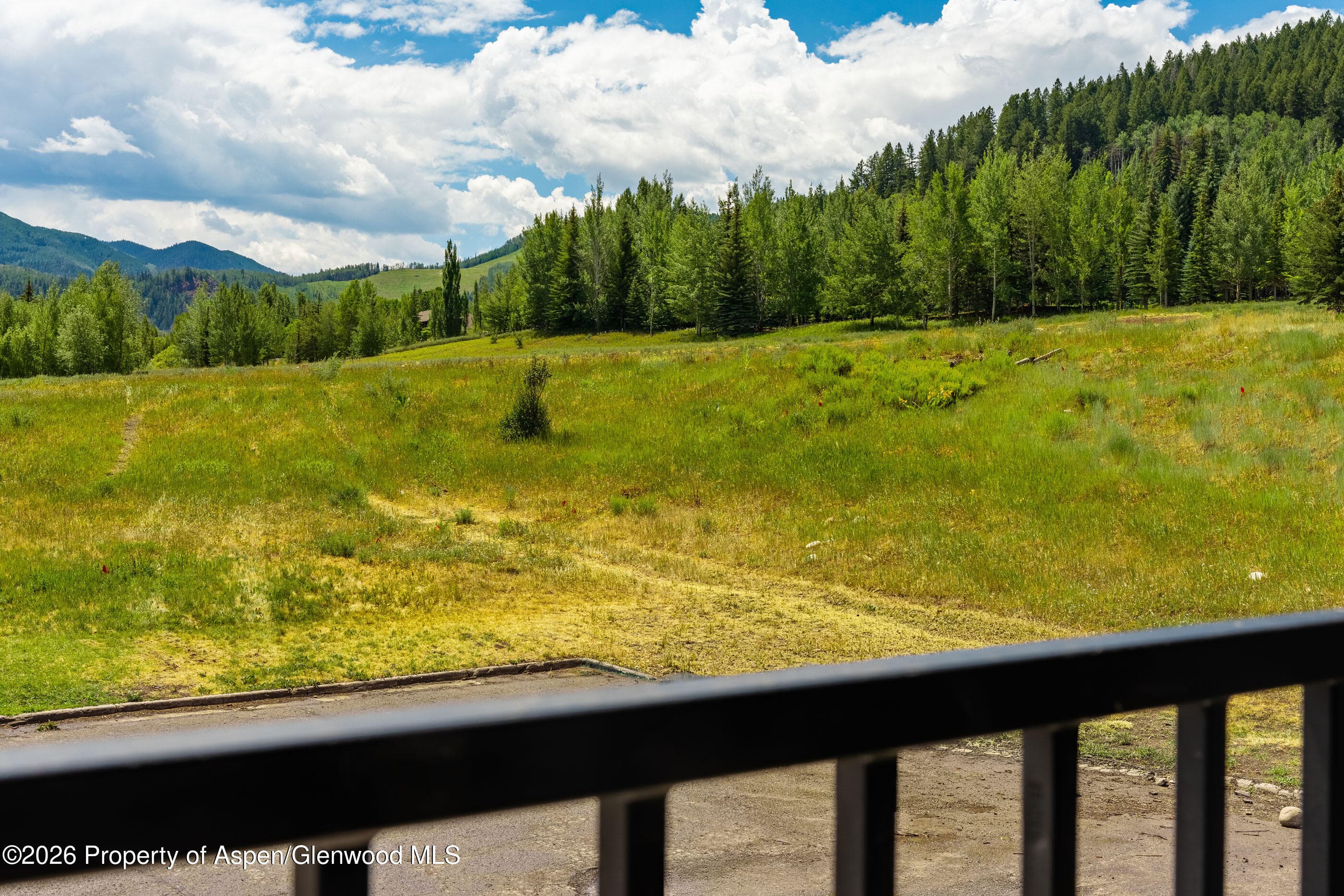 38750 Highway 82 2273, Aspen, CO 81611 - Photo 11