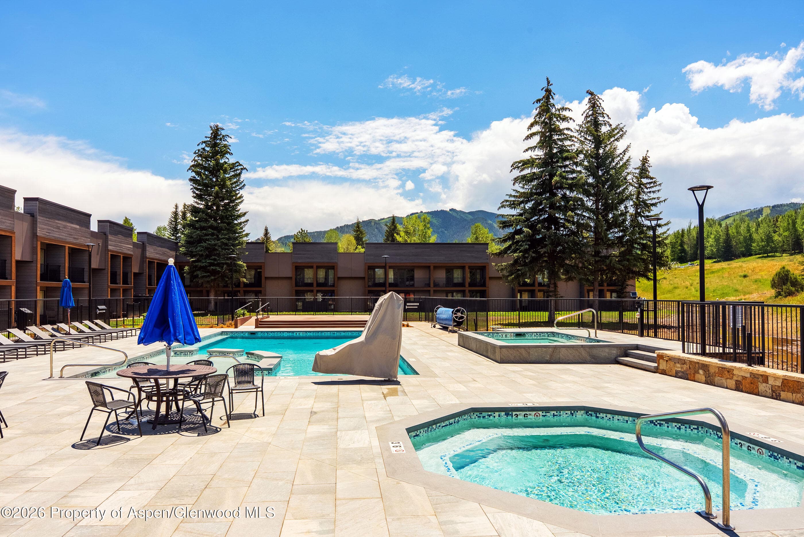 38750 Highway 82 2273, Aspen, CO 81611 - Photo 21