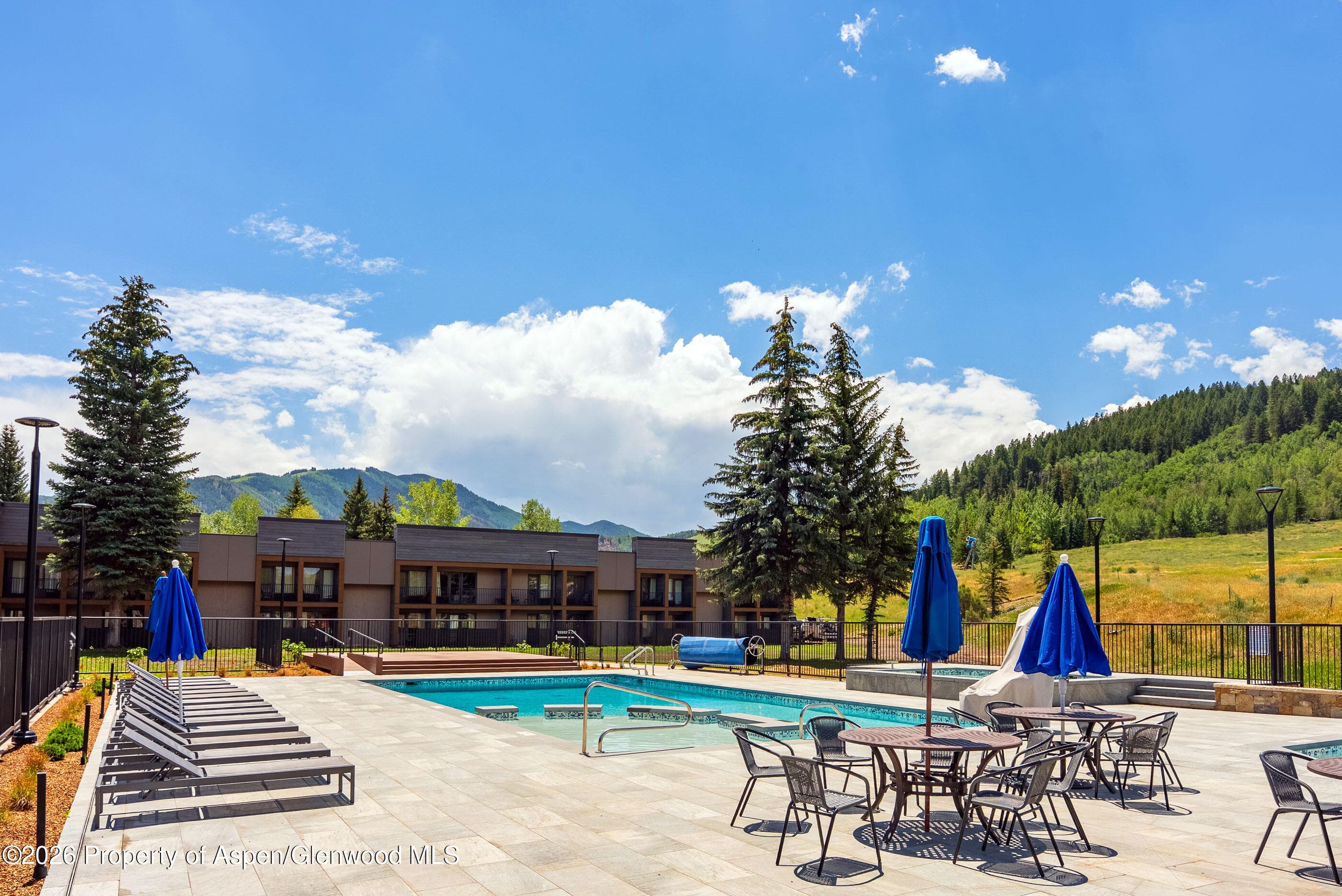 38750 Highway 82 2273, Aspen, CO 81611 - Photo 22