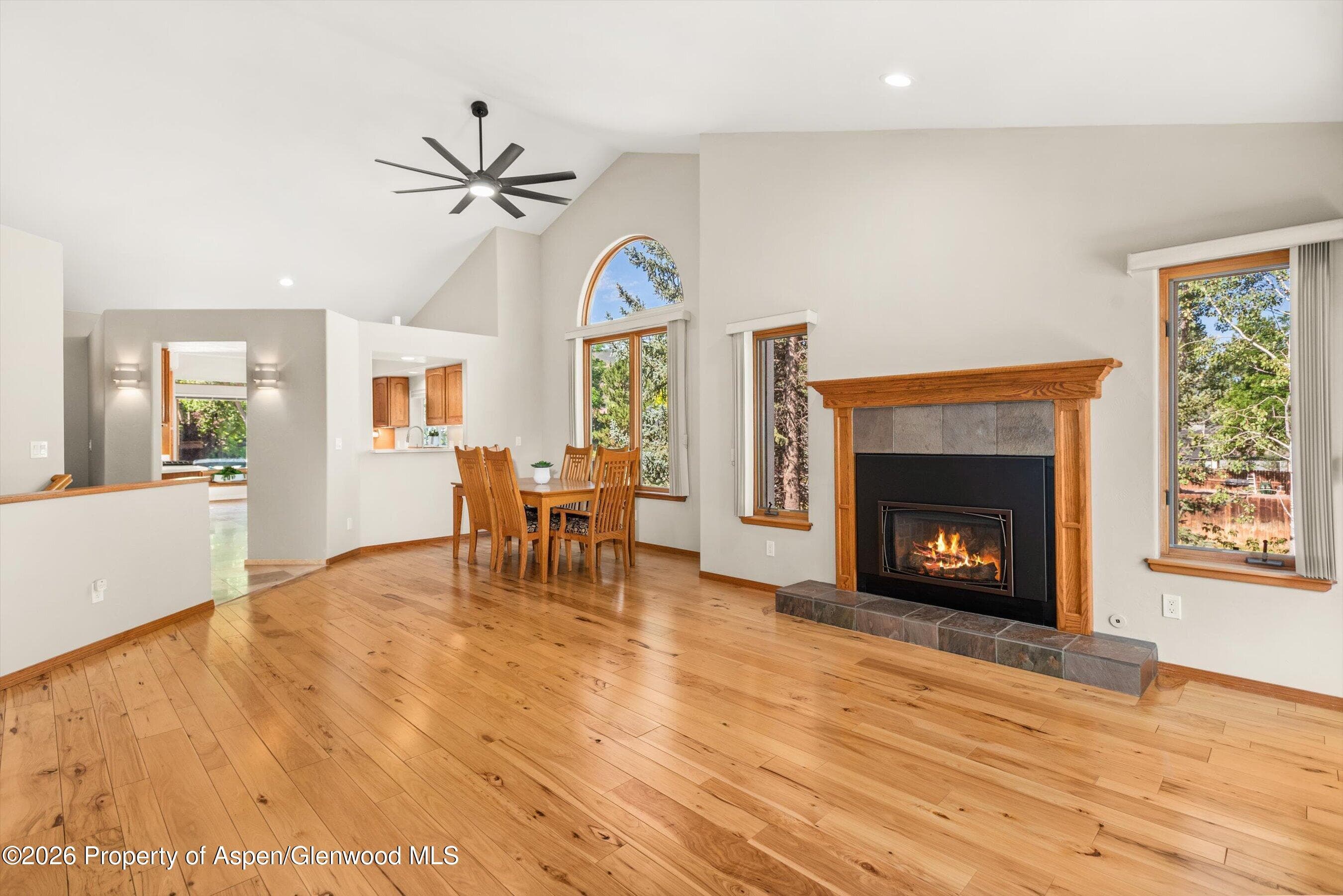 985 Lupine Circle, Basalt, CO 81621