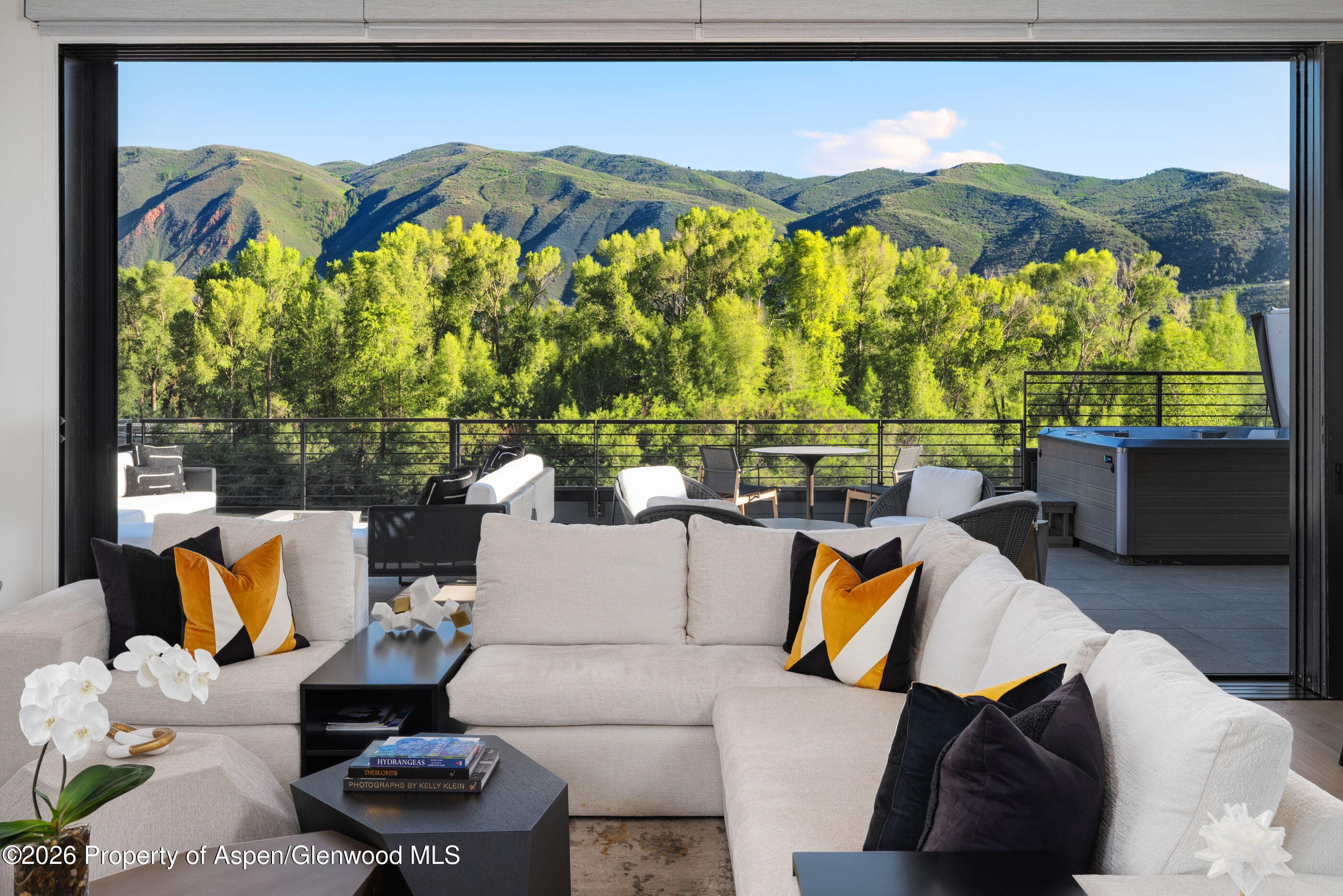 22860 Two Rivers Road Penthouse, Basalt, CO 81621