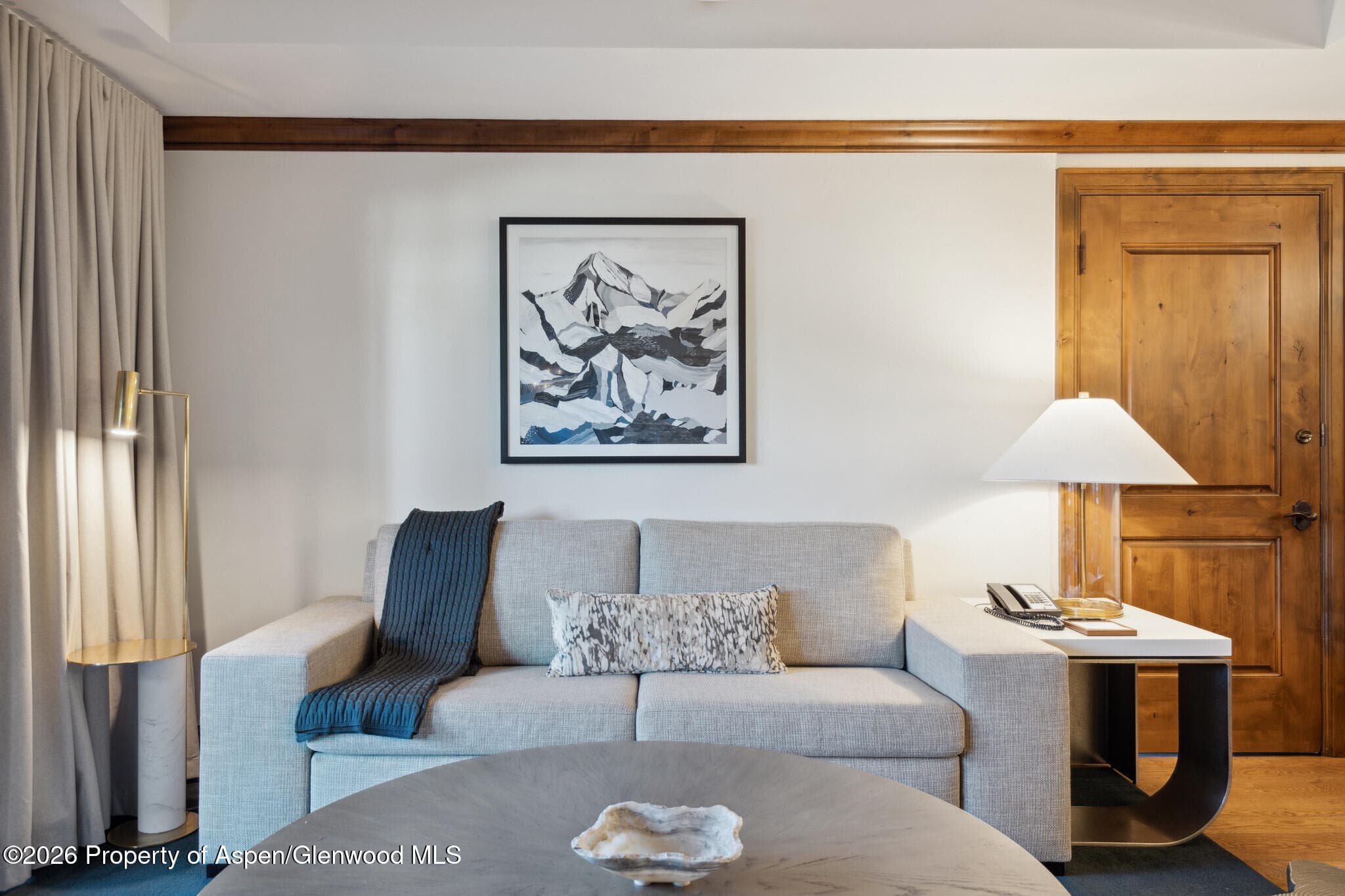 415 E Dean St, Unit 12, Week 5, Aspen, CO 81611 - Photo 5