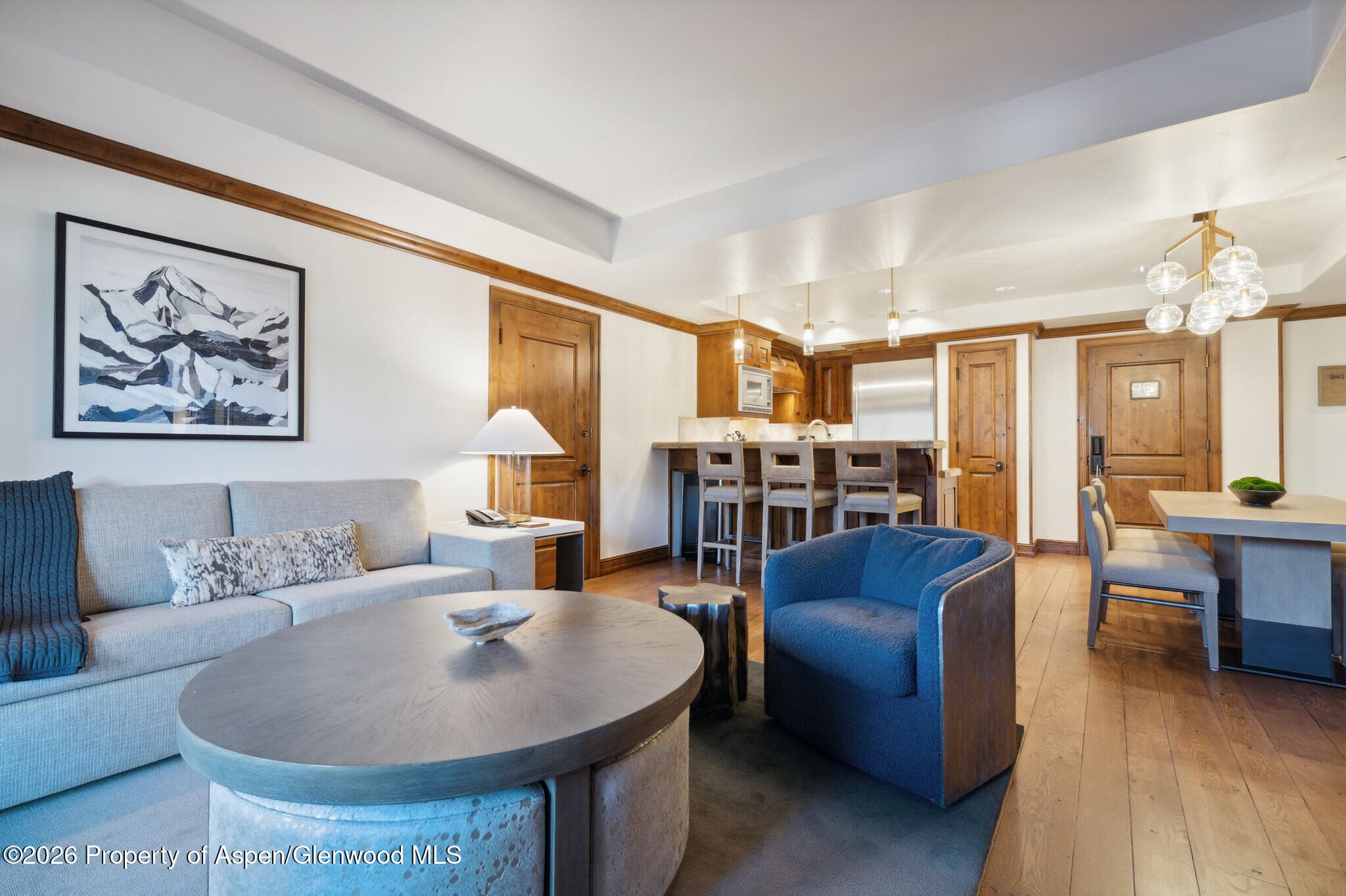 415 E Dean St, Unit 12, Week 5, Aspen, CO 81611 - Photo 6