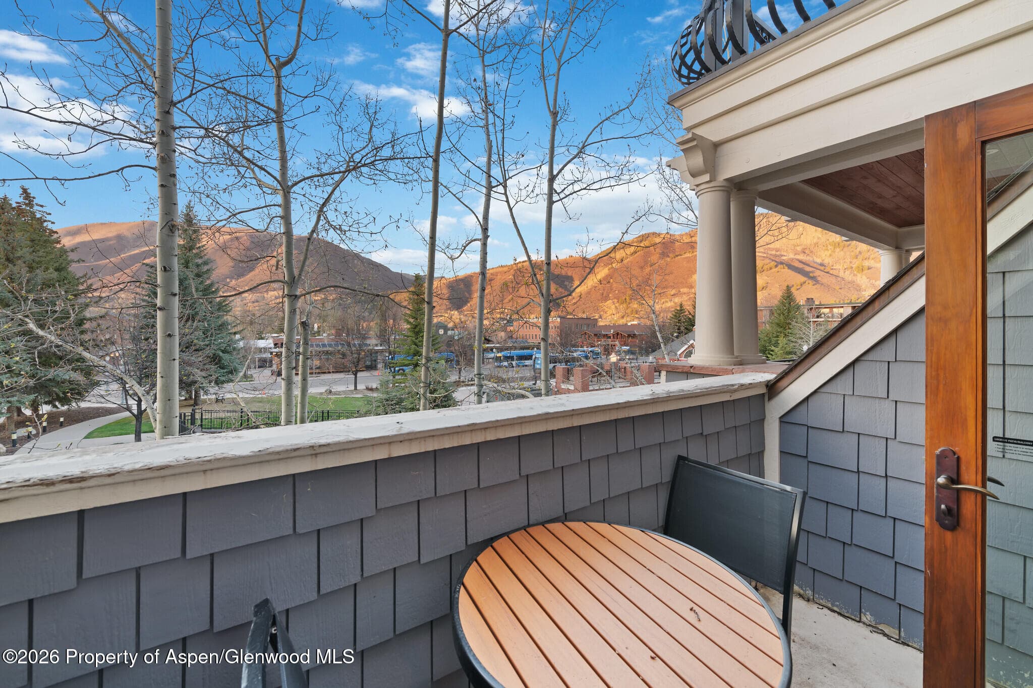 415 E Dean St, Unit 12, Week 5, Aspen, CO 81611 - Photo 11