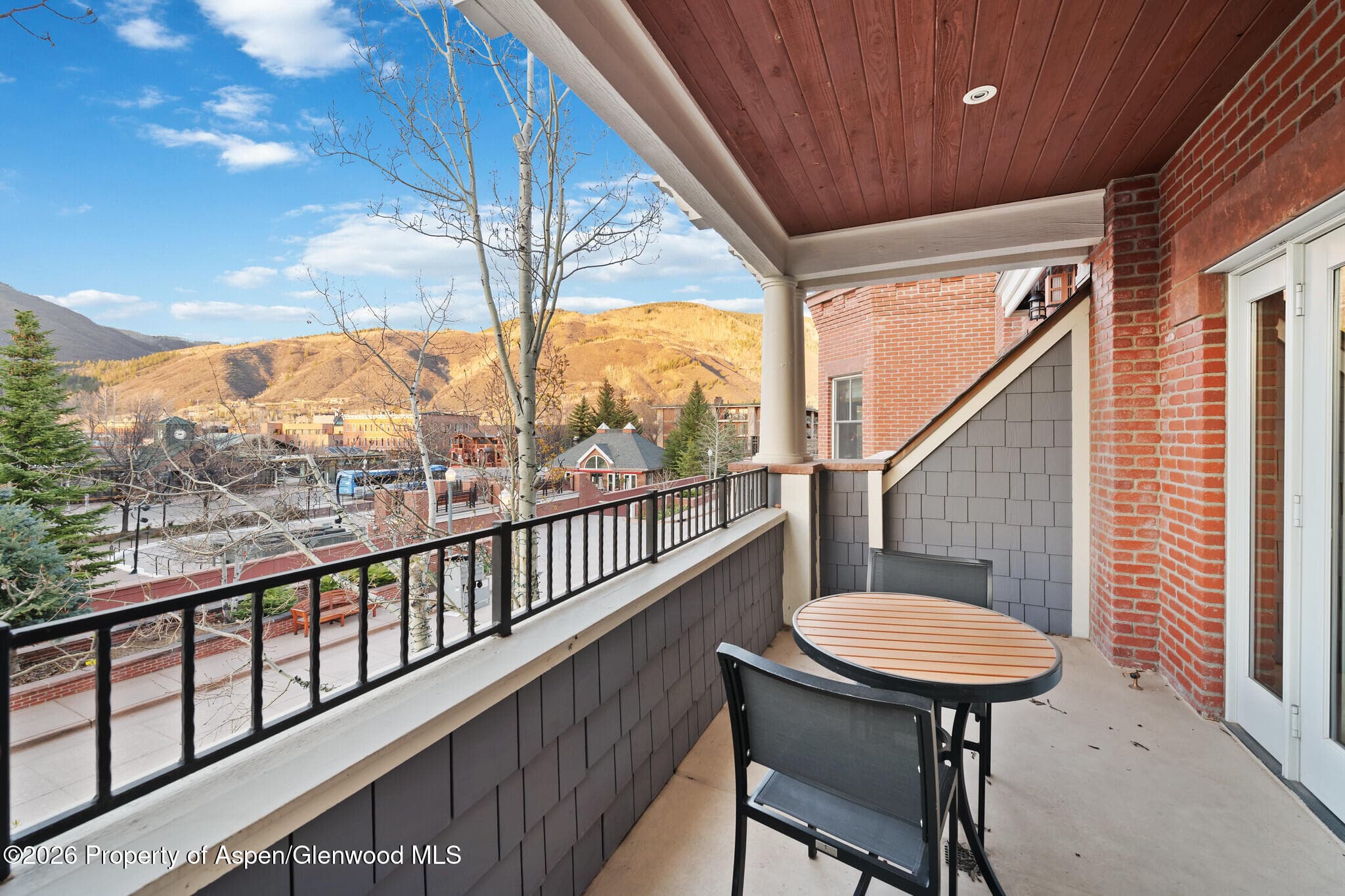 415 E Dean St, Unit 12, Week 5, Aspen, CO 81611 - Photo 12