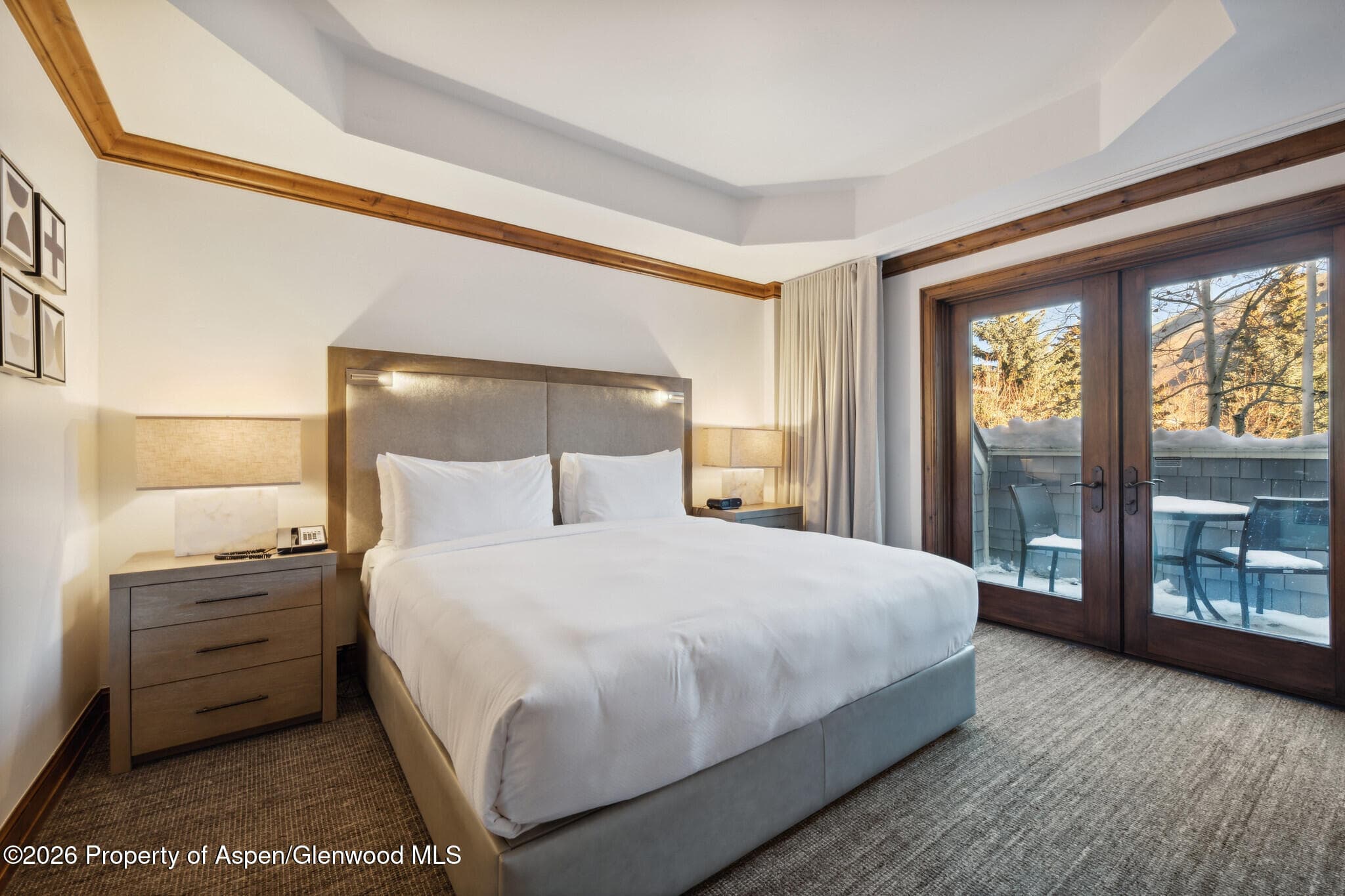 415 E Dean St, Unit 12, Week 5, Aspen, CO 81611 - Photo 13