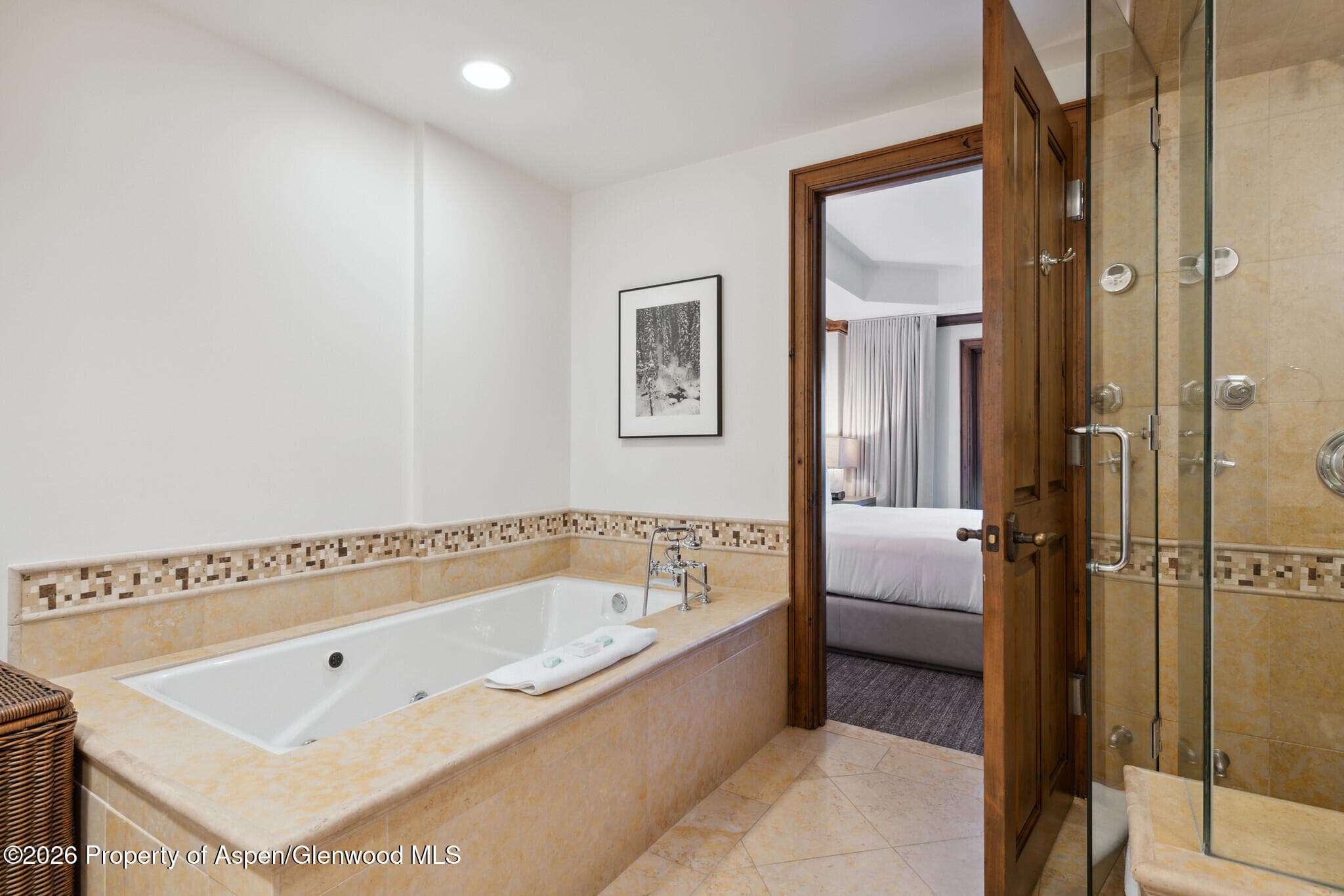 415 E Dean St, Unit 12, Week 5, Aspen, CO 81611 - Photo 16