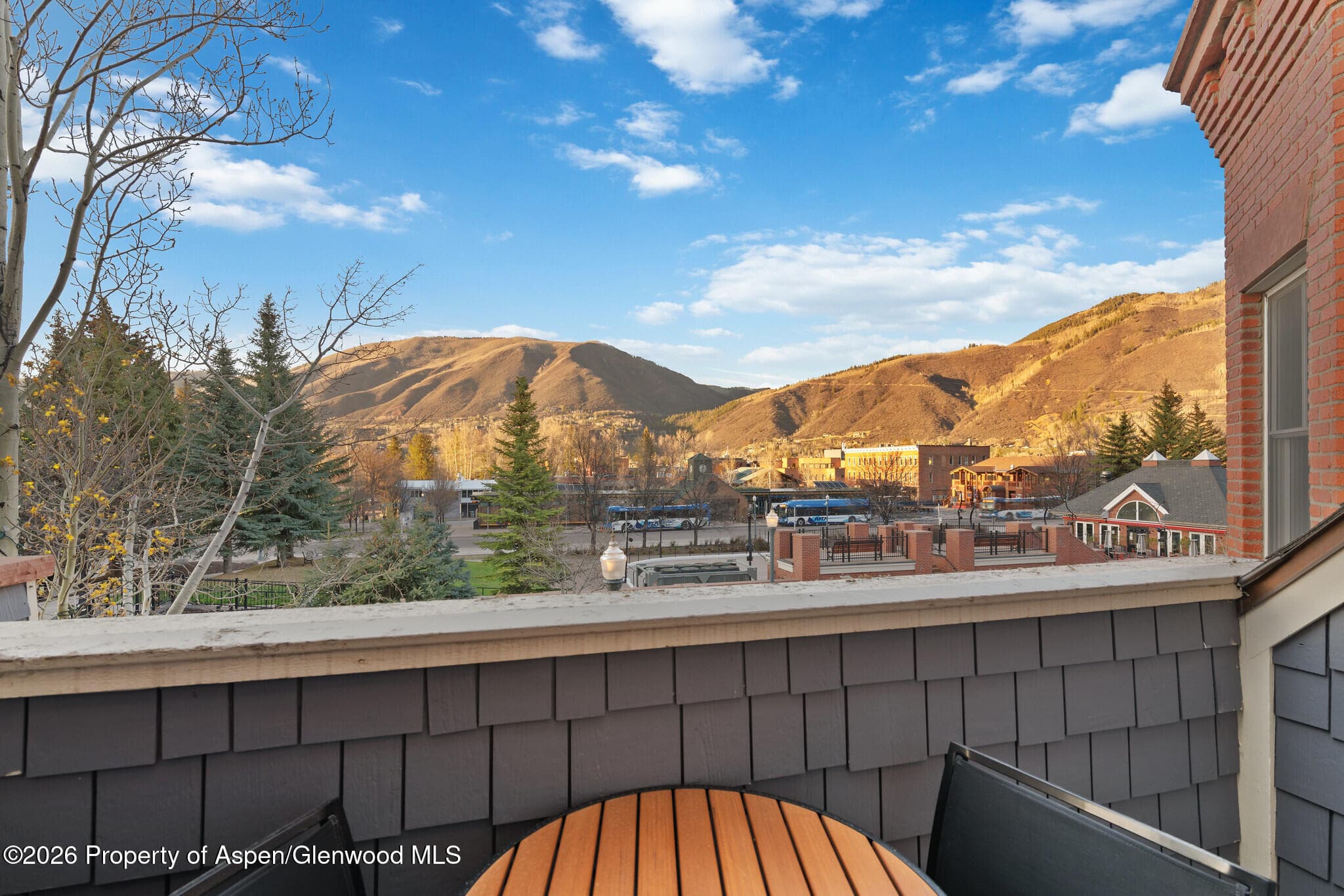 415 E Dean St, Unit 12, Week 5, Aspen, CO 81611 - Photo 21