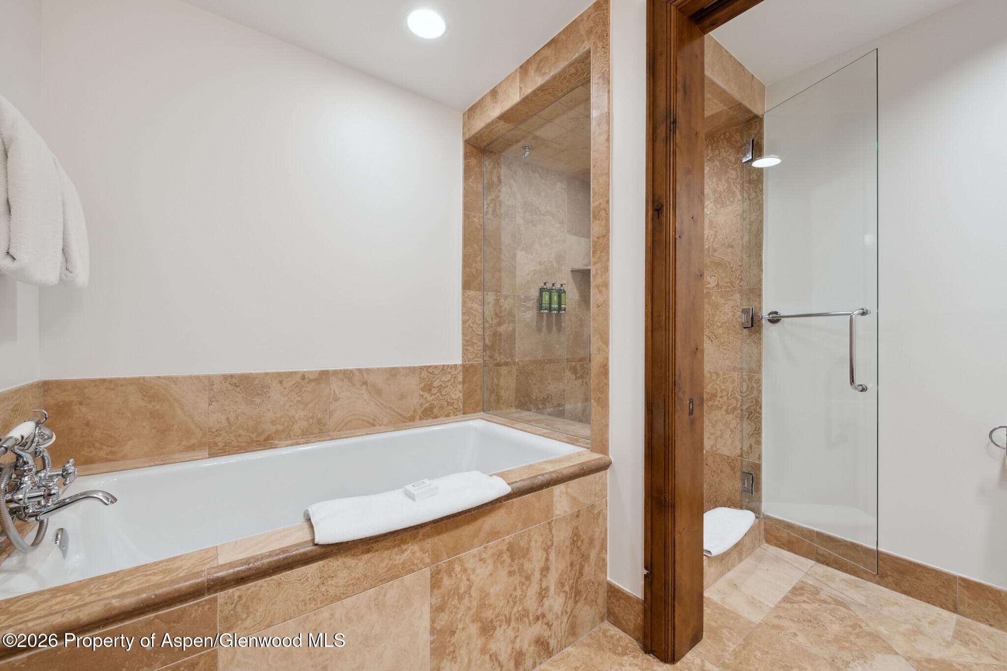 415 E Dean St, Unit 12, Week 5, Aspen, CO 81611 - Photo 22