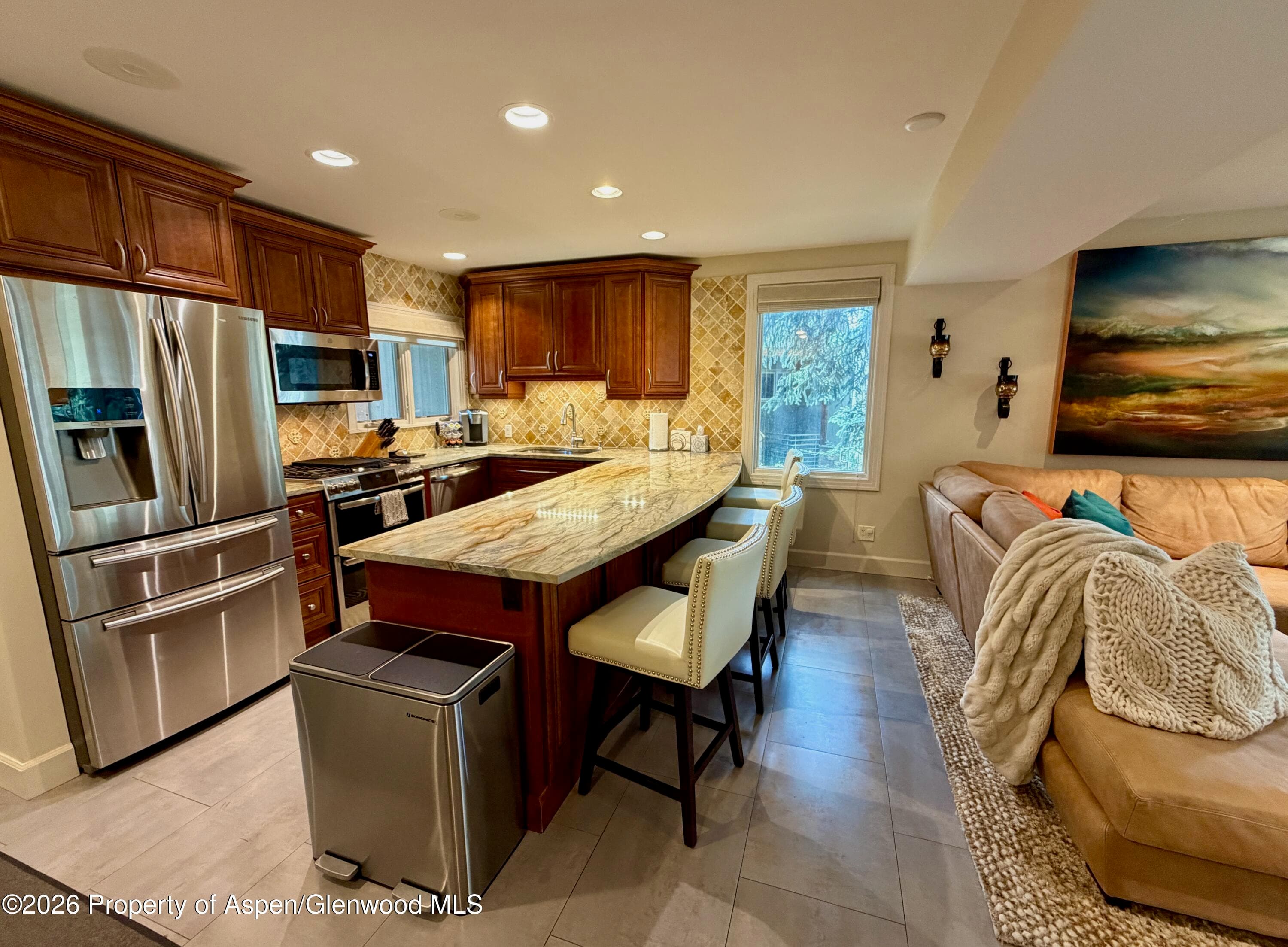 100 N 8th Street 7, Aspen, CO 81611 - Photo 3