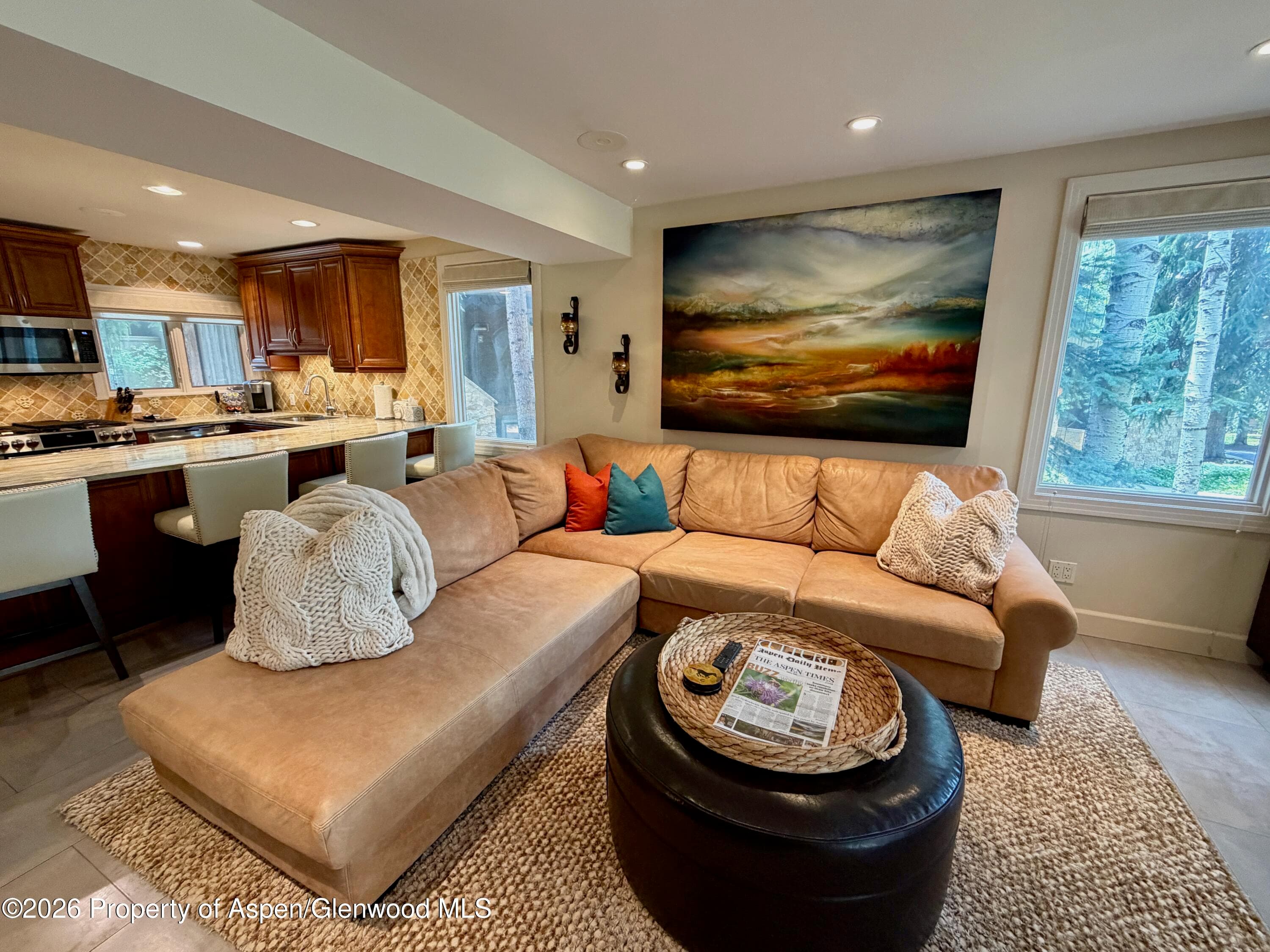 100 N 8th Street 7, Aspen, CO 81611 - Photo 2