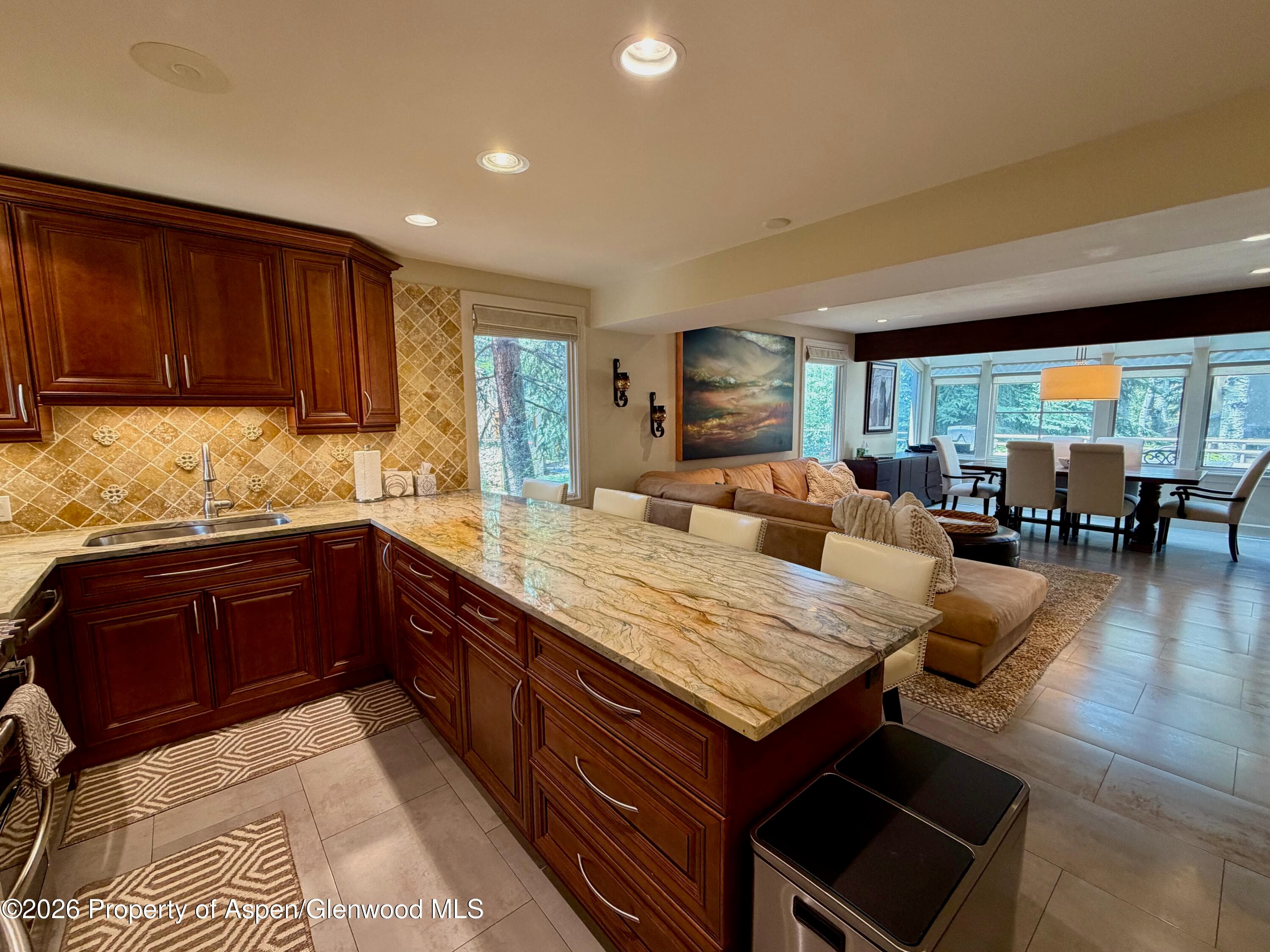 100 N 8th Street 7, Aspen, CO 81611 - Photo 7
