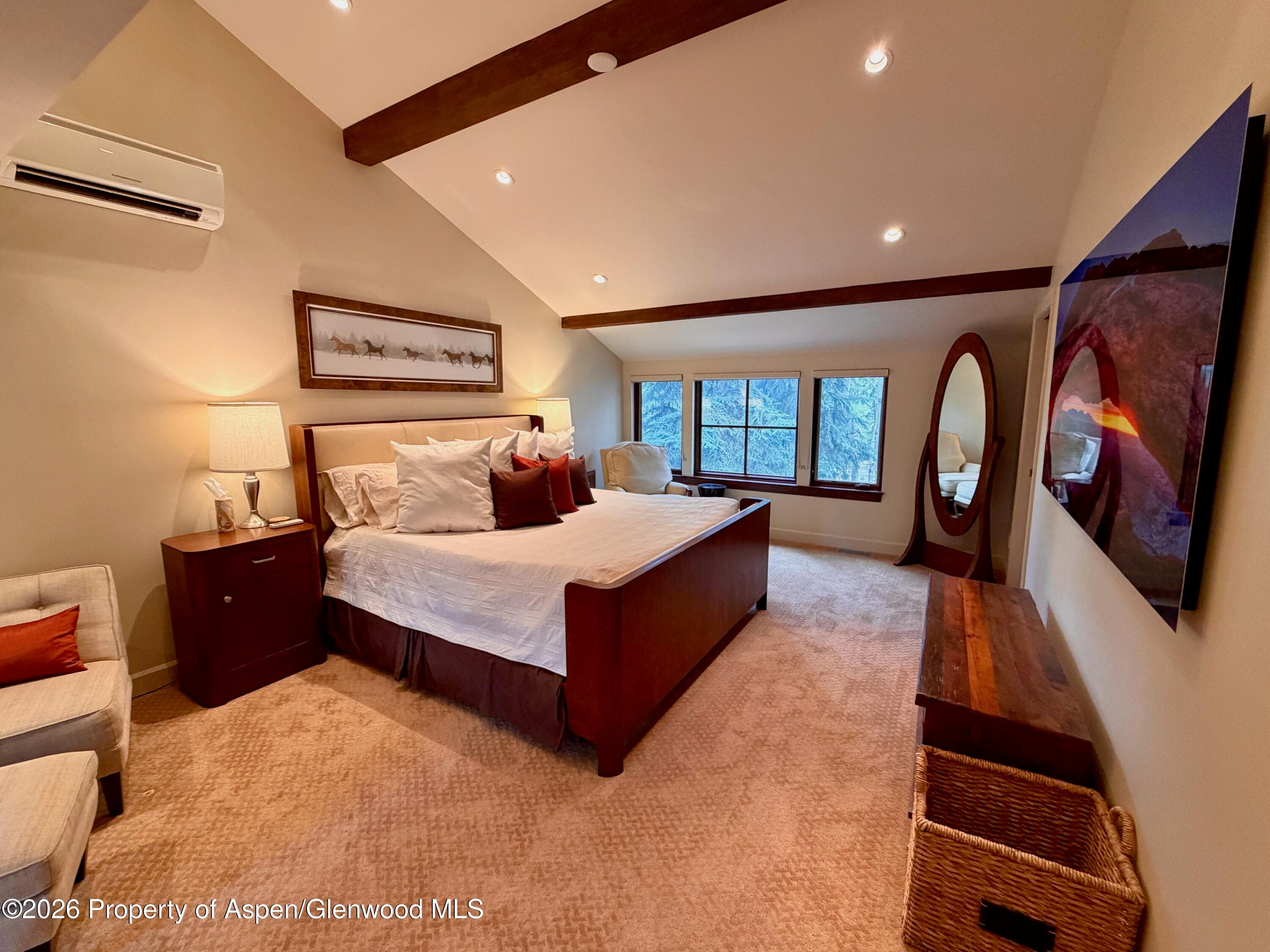 100 N 8th Street 7, Aspen, CO 81611 - Photo 11