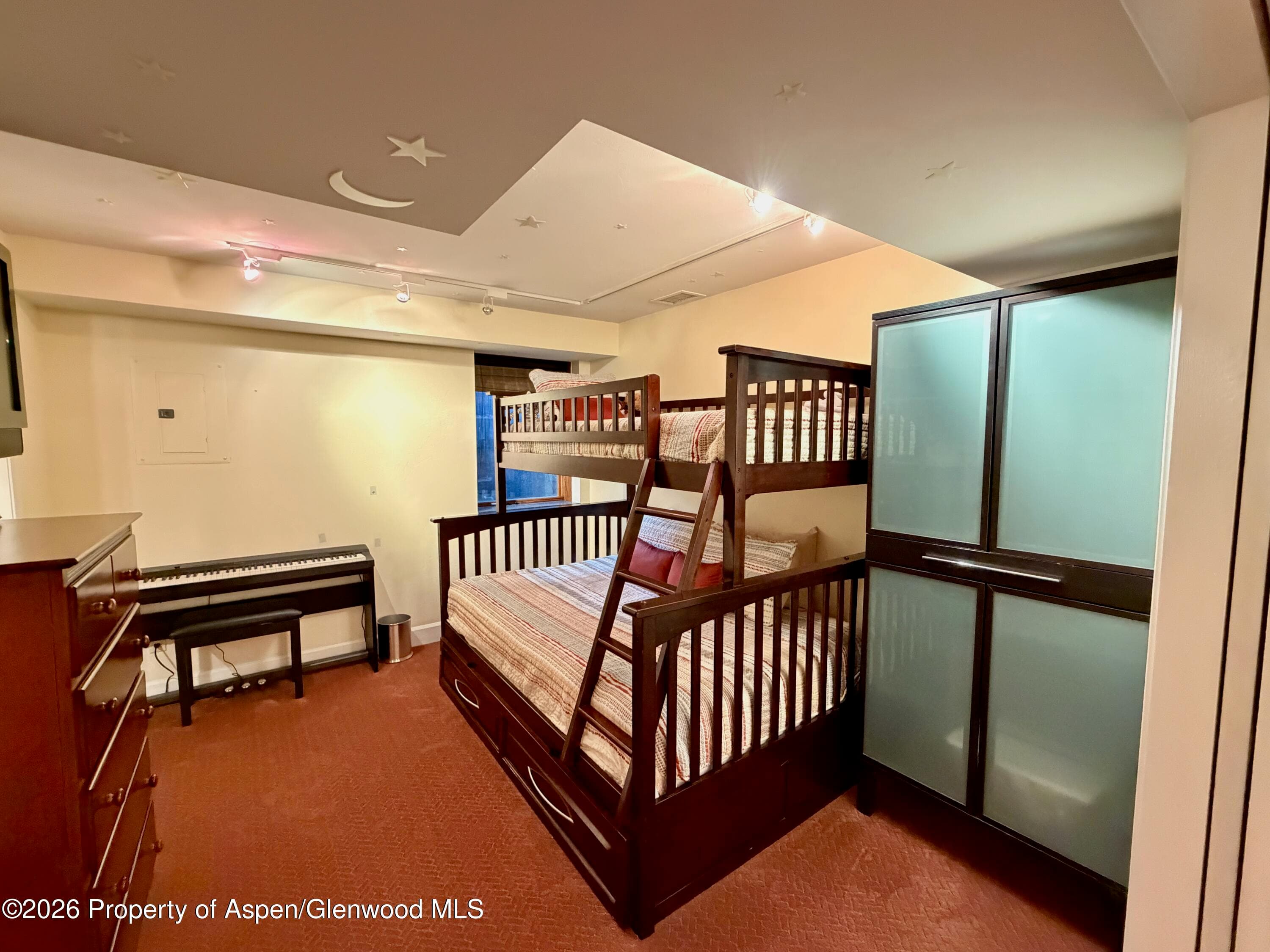 100 N 8th Street 7, Aspen, CO 81611 - Photo 19