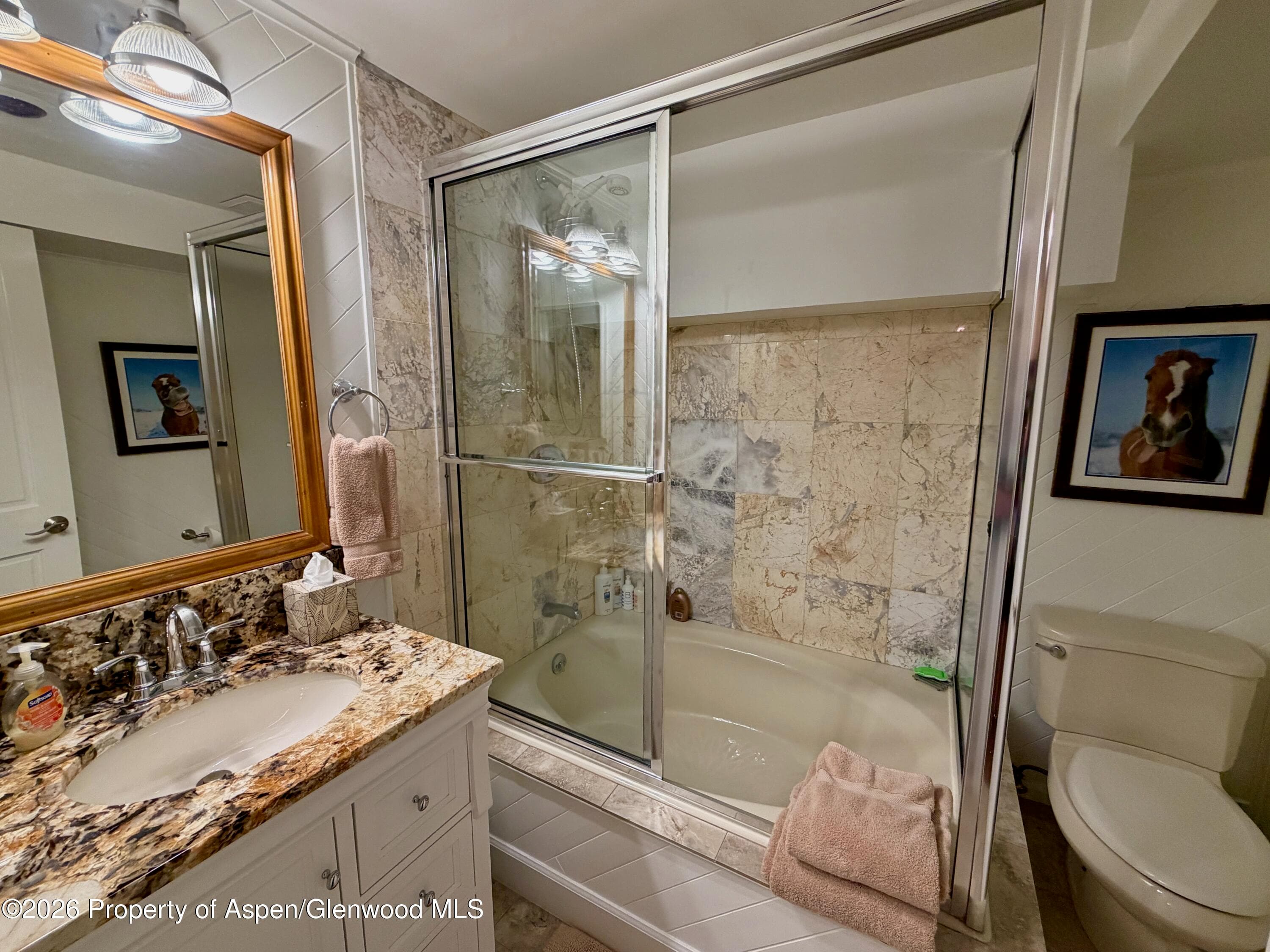 100 N 8th Street 7, Aspen, CO 81611 - Photo 20