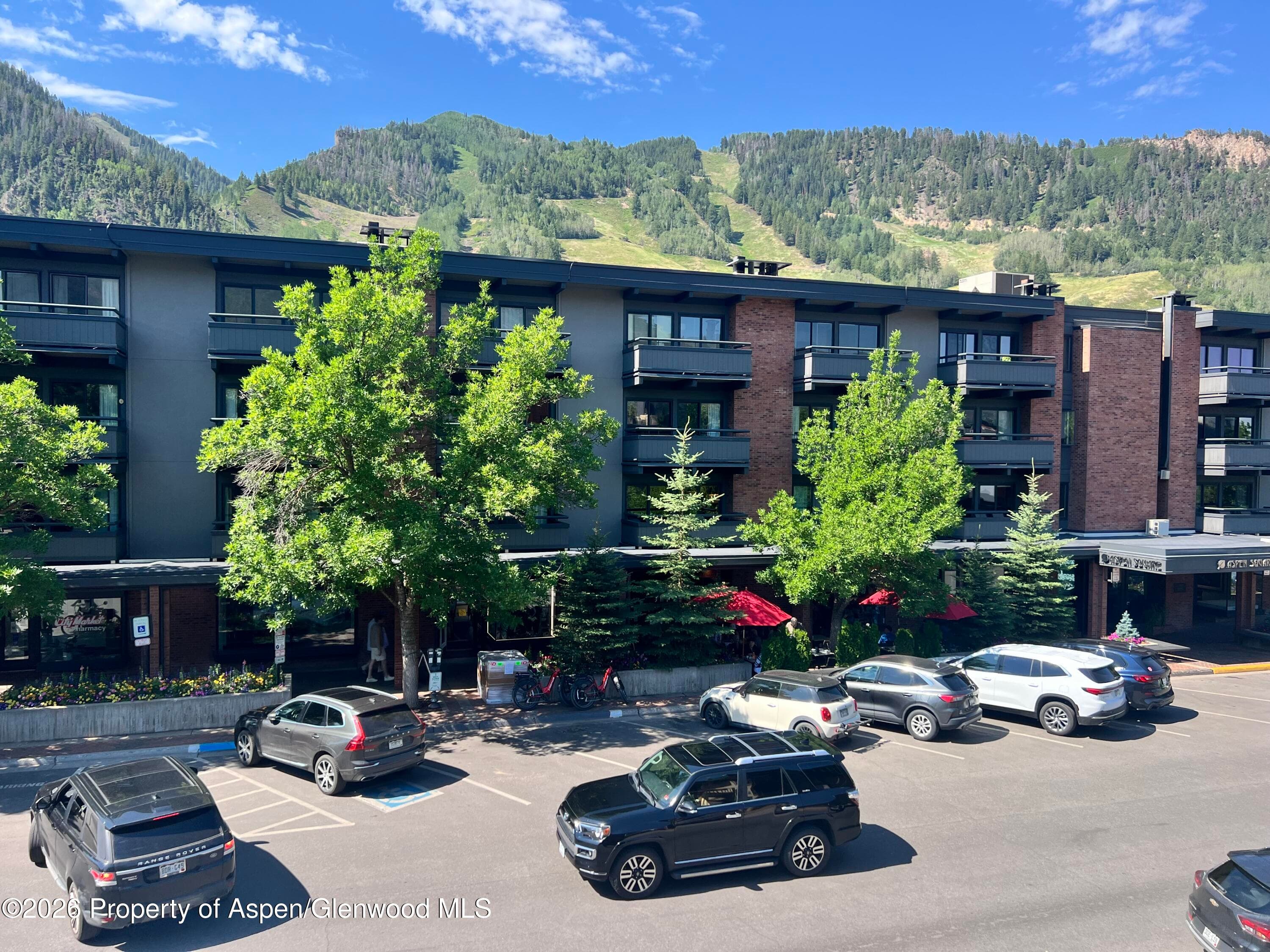 630 E Cooper Avenue 20, Aspen, CO 81611 - Photo 5