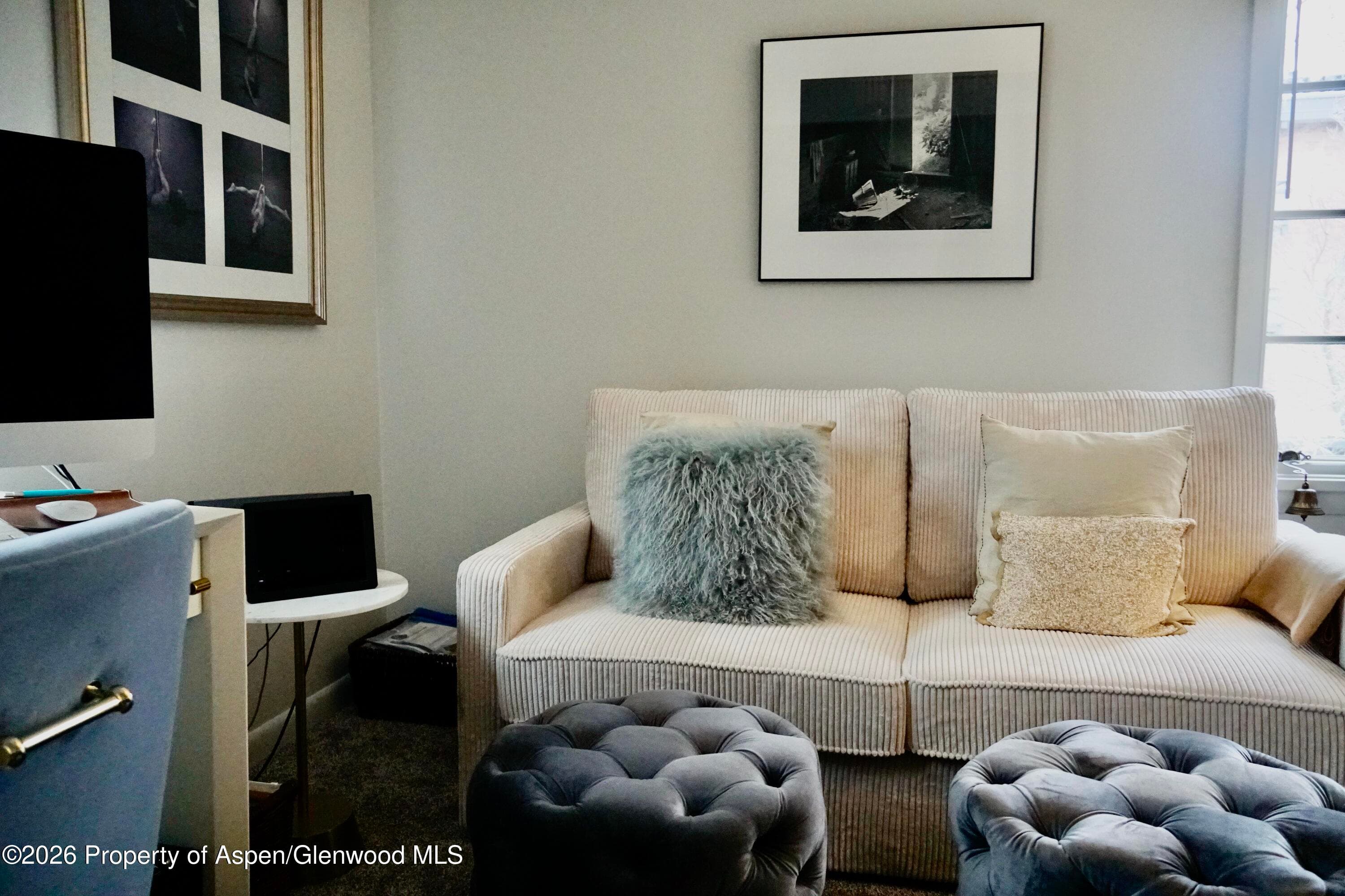 630 E Cooper Avenue 20, Aspen, CO 81611 - Photo 20