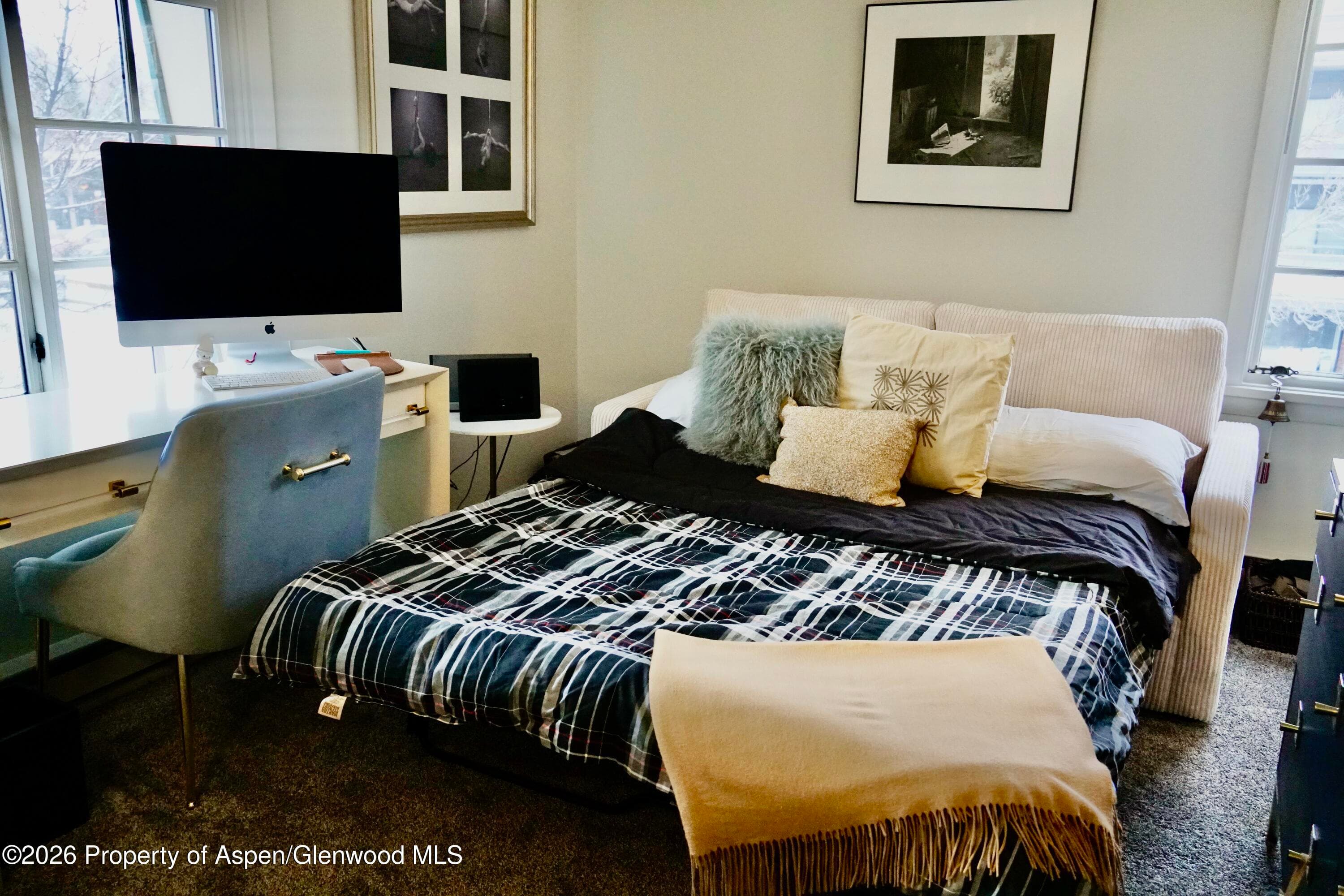 630 E Cooper Avenue 20, Aspen, CO 81611 - Photo 22