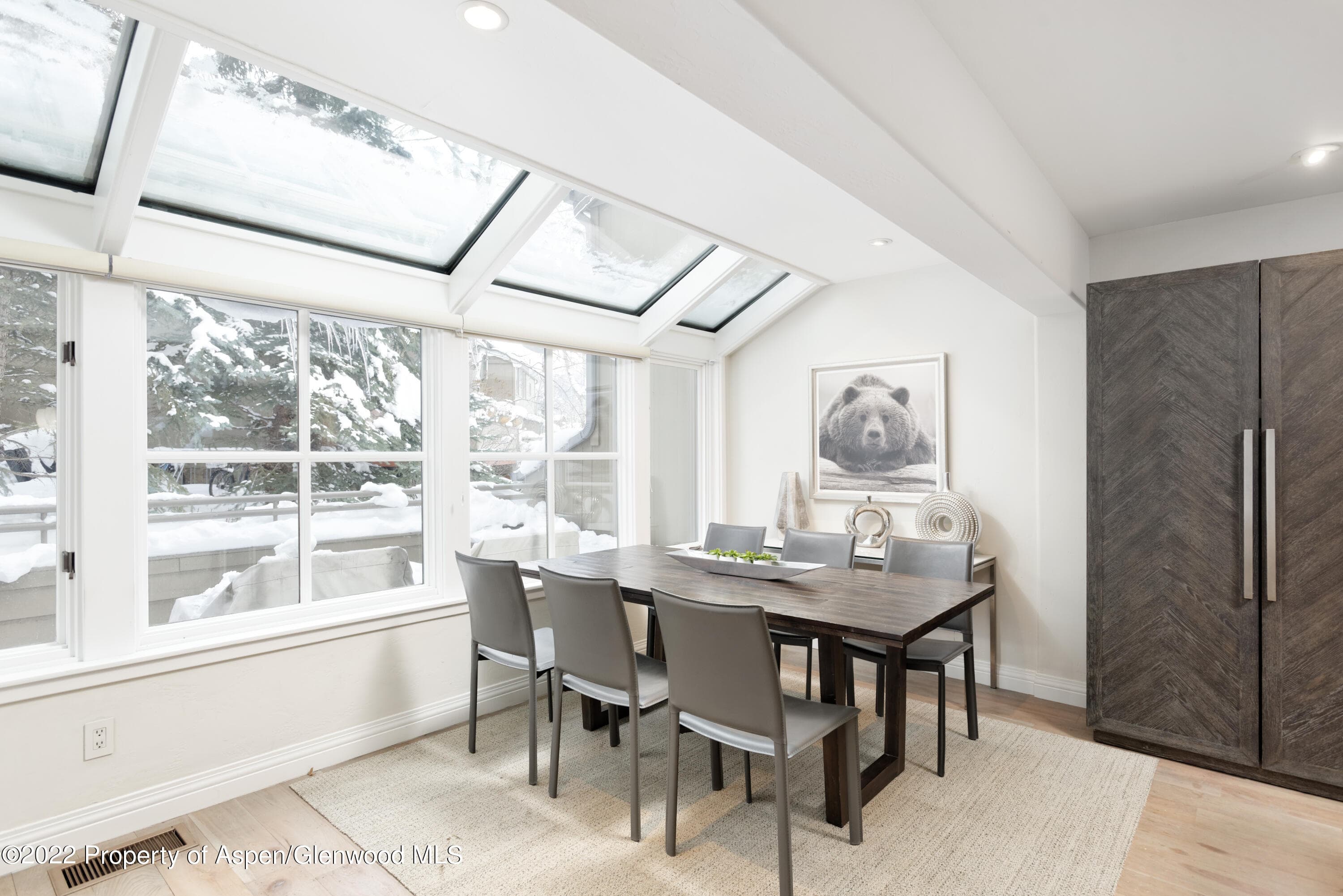 100 N 8th Street 20, Aspen, CO 81611 - Photo 3