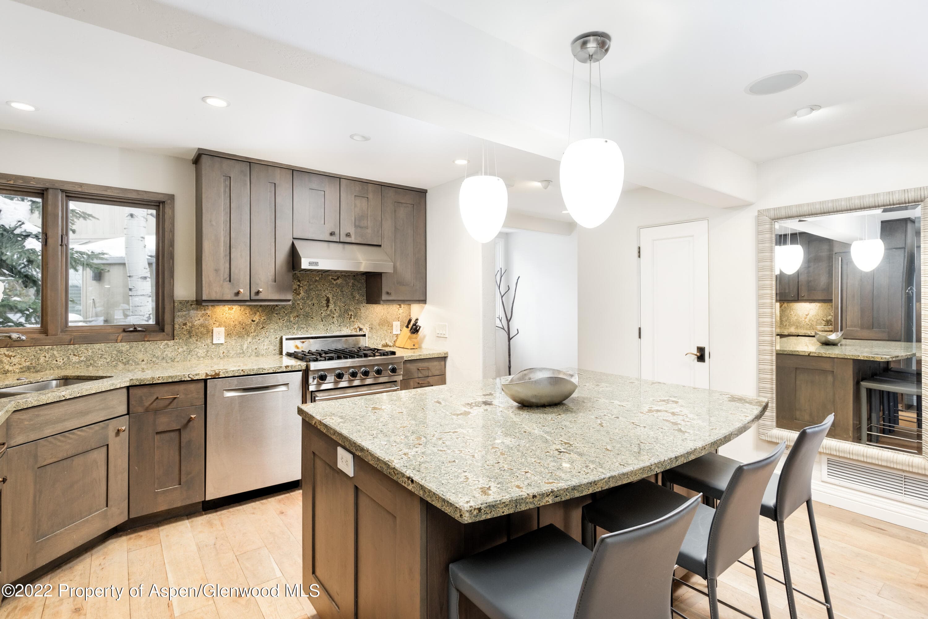 100 N 8th Street 20, Aspen, CO 81611 - Photo 5