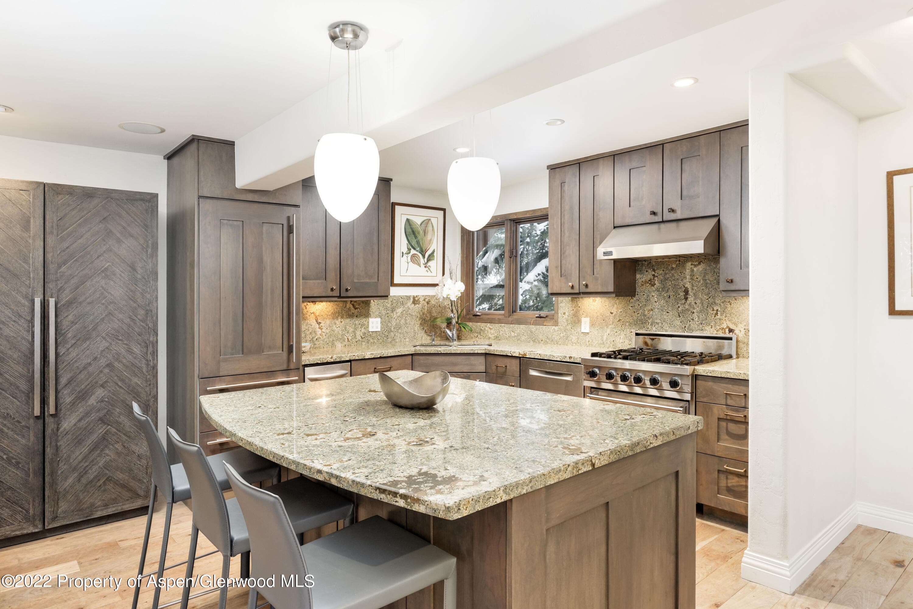 100 N 8th Street 20, Aspen, CO 81611 - Photo 6