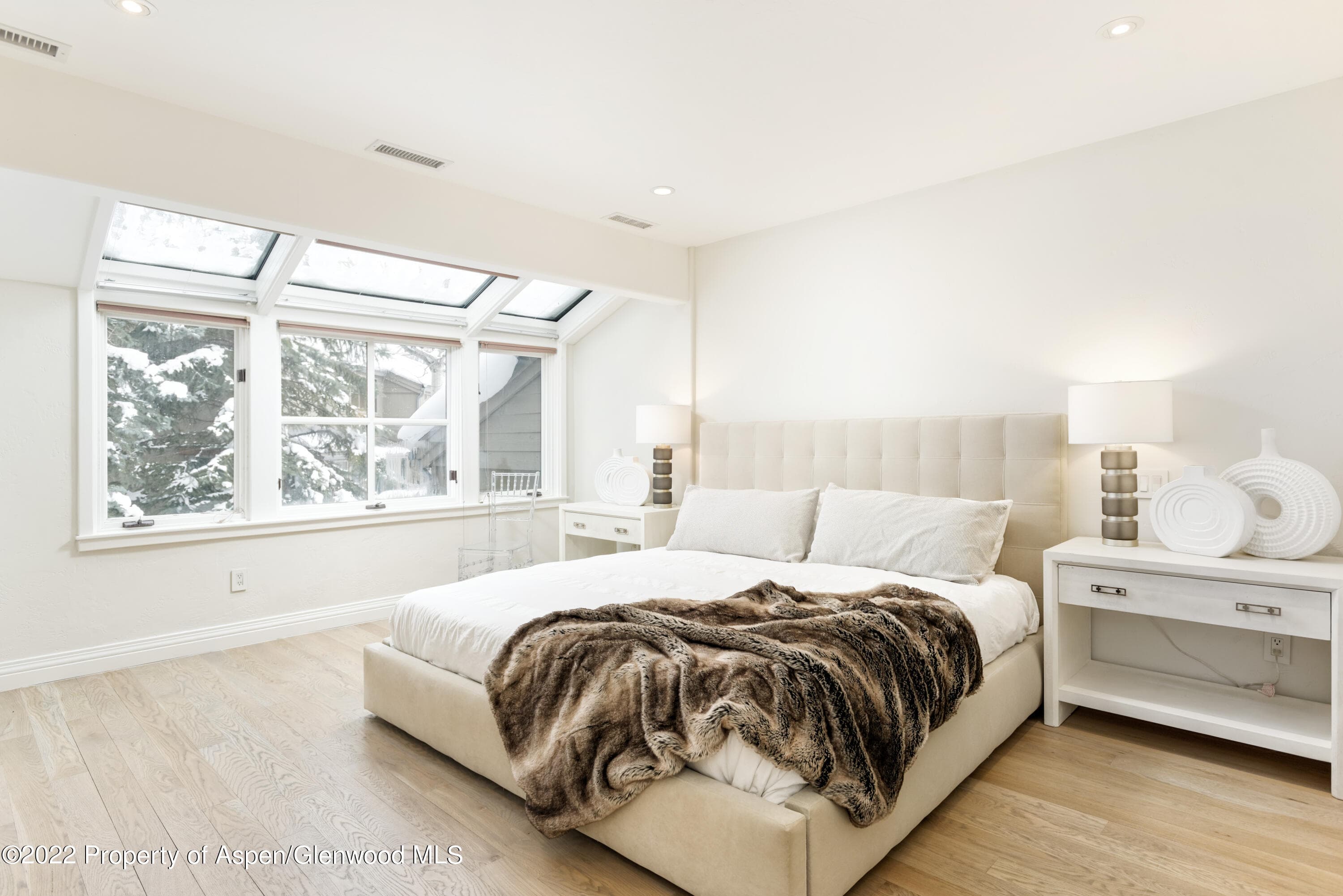 100 N 8th Street 20, Aspen, CO 81611 - Photo 8