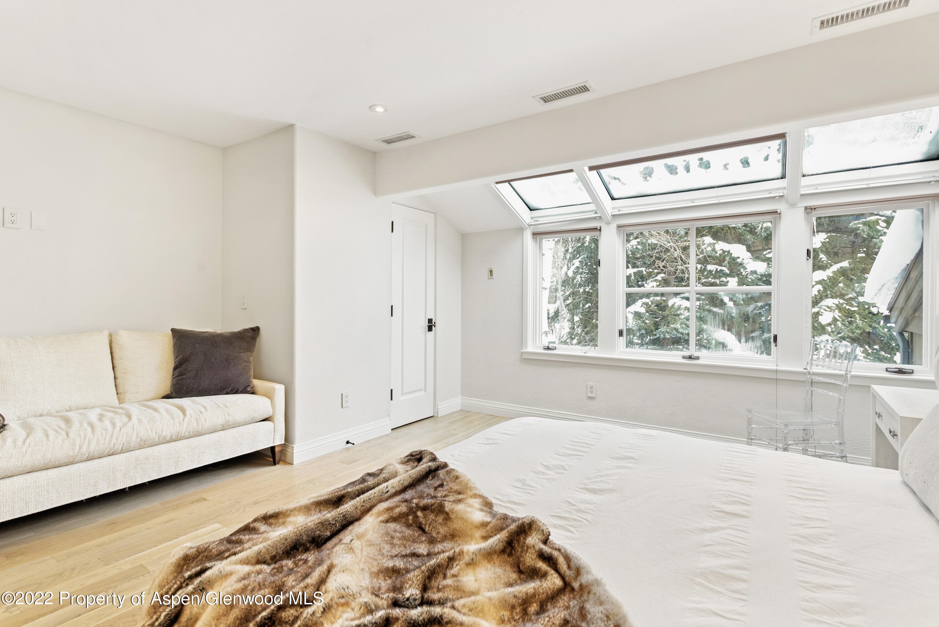 100 N 8th Street 20, Aspen, CO 81611 - Photo 9