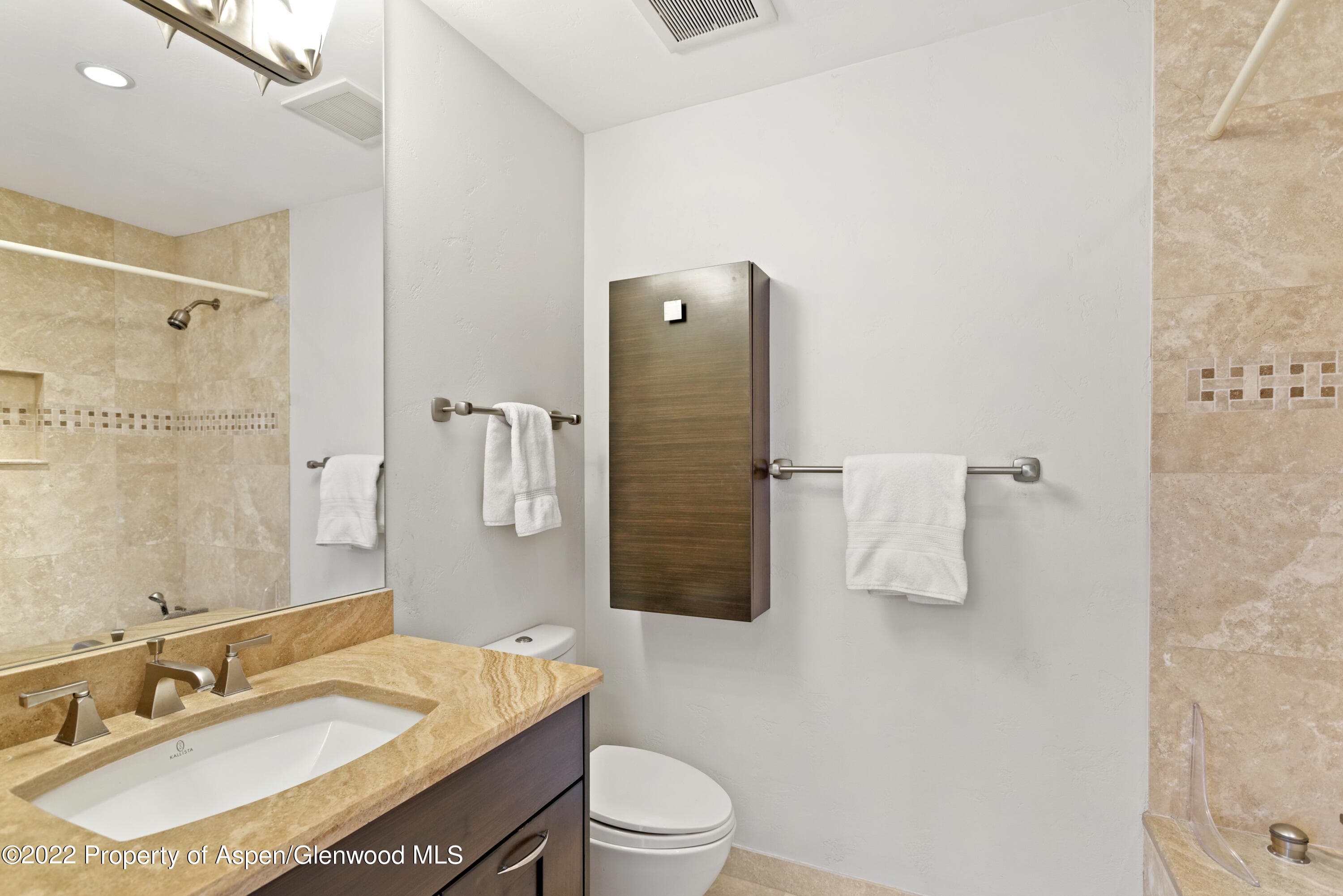 100 N 8th Street 20, Aspen, CO 81611 - Photo 13