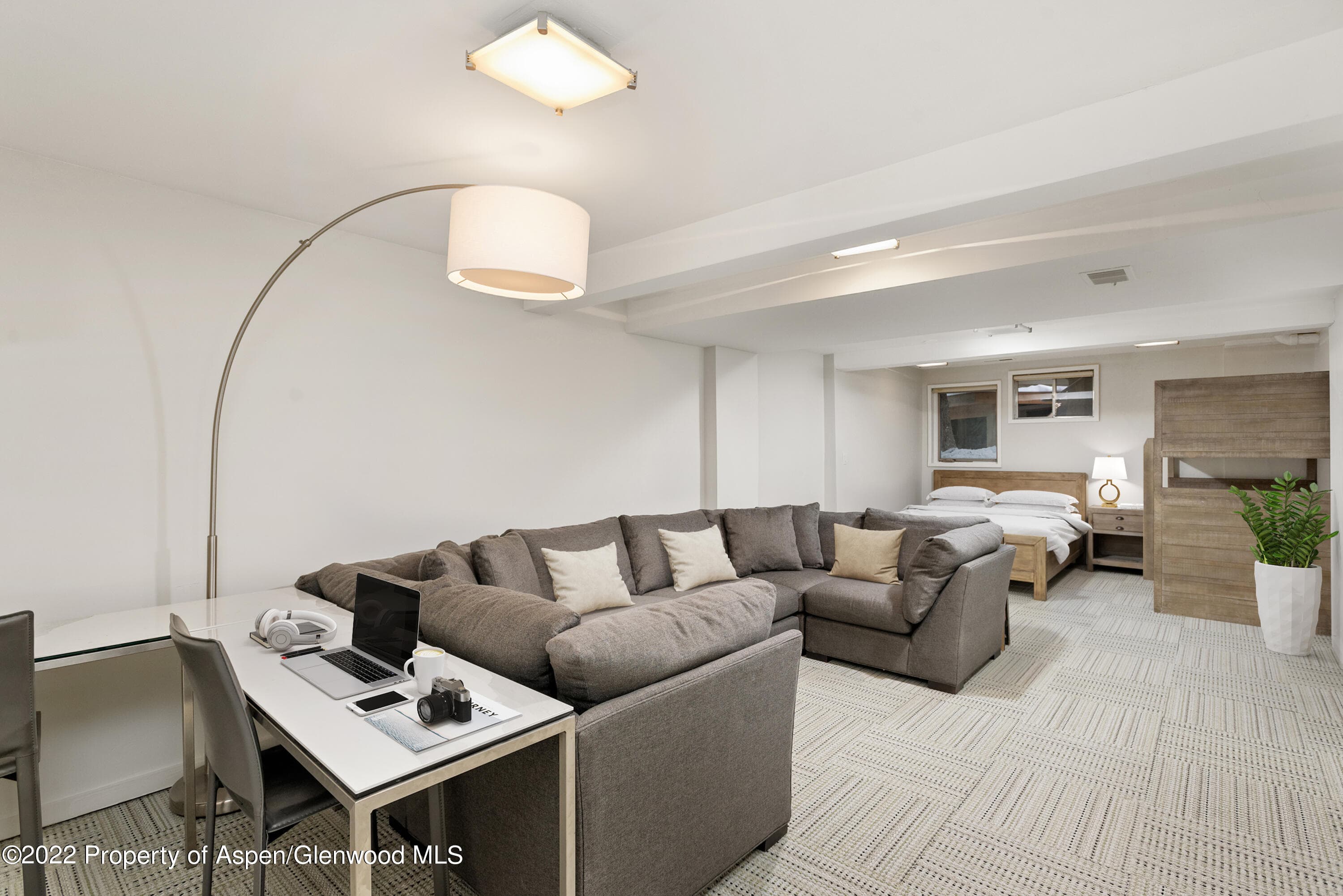 100 N 8th Street 20, Aspen, CO 81611 - Photo 14