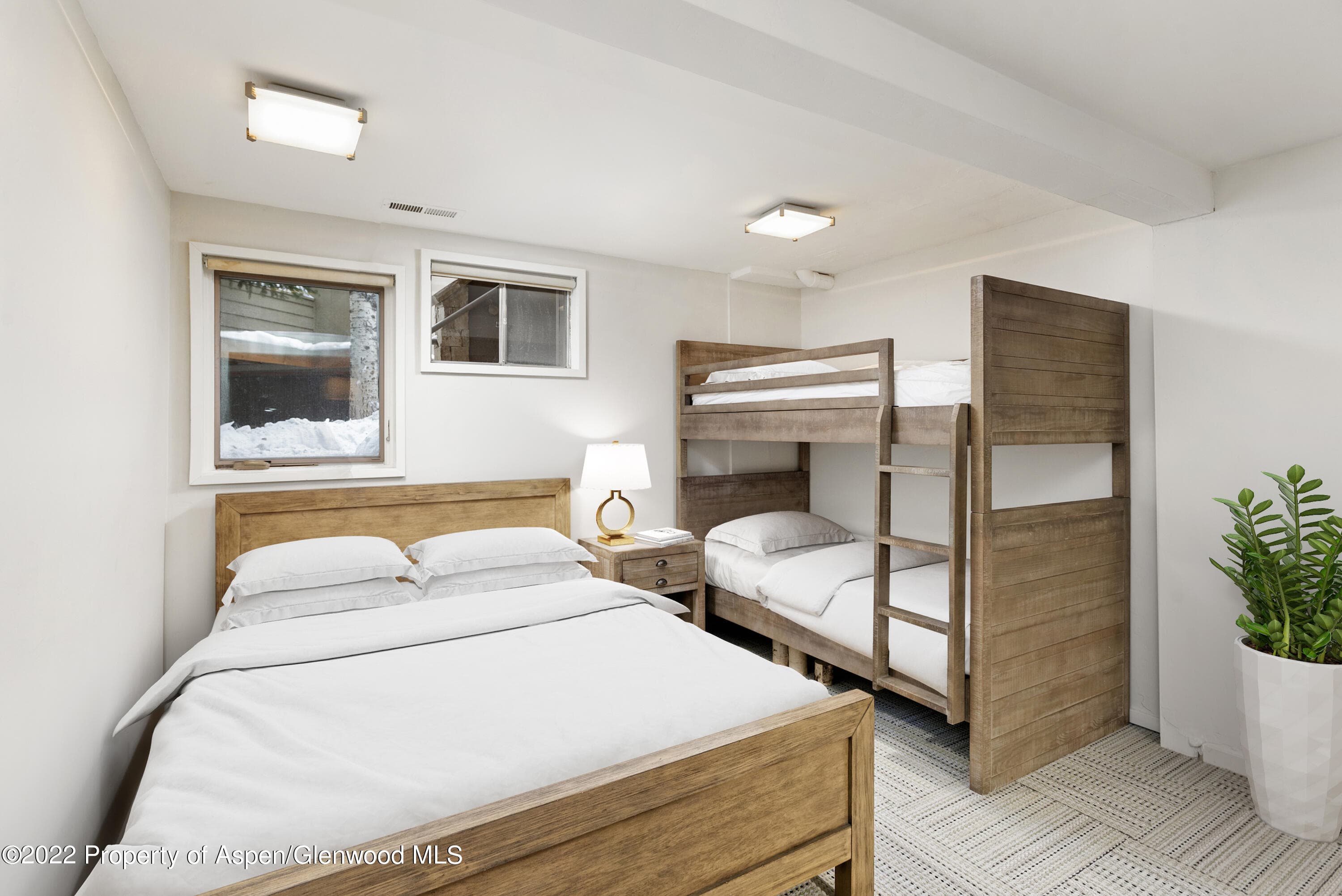 100 N 8th Street 20, Aspen, CO 81611 - Photo 15