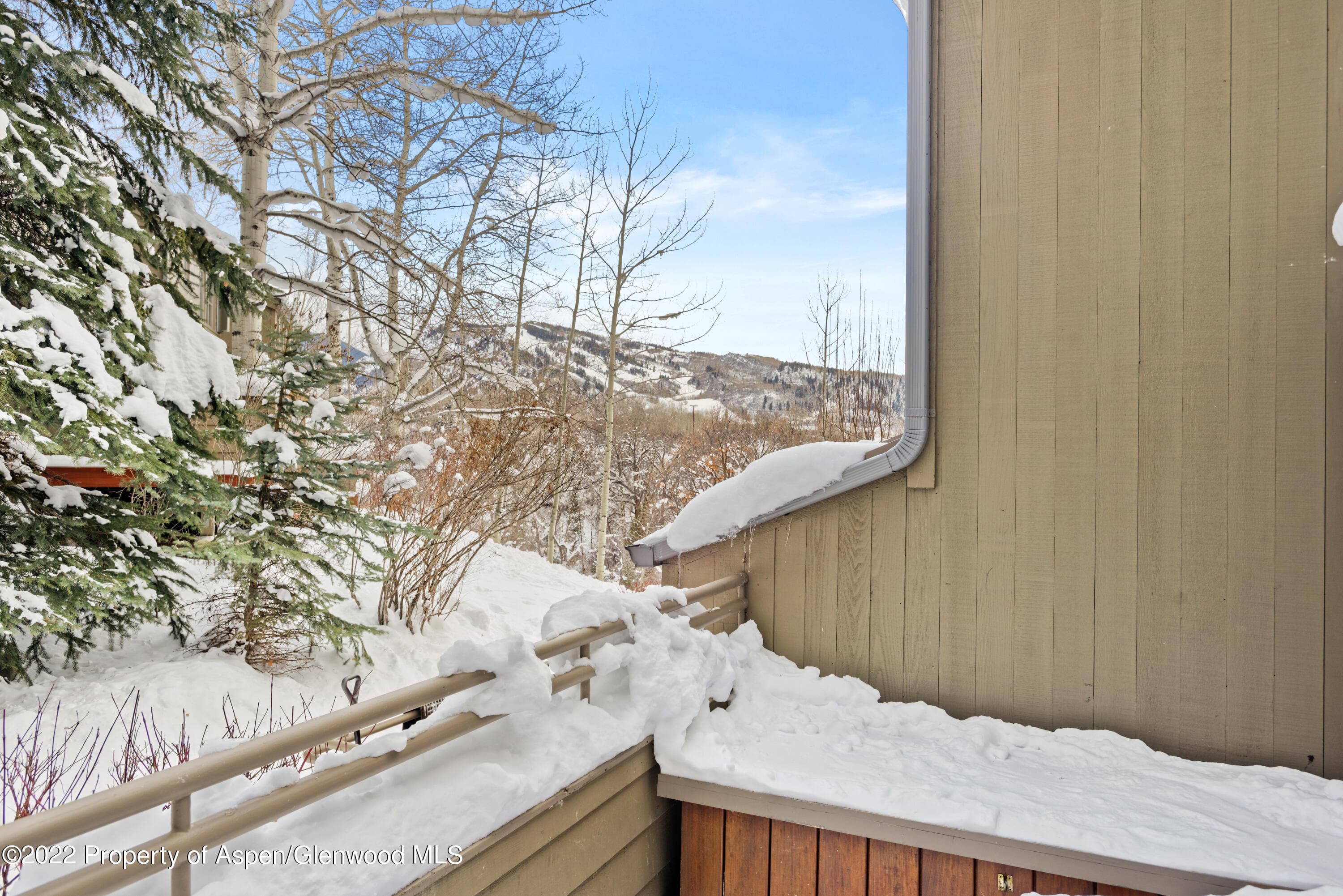 100 N 8th Street 20, Aspen, CO 81611 - Photo 17