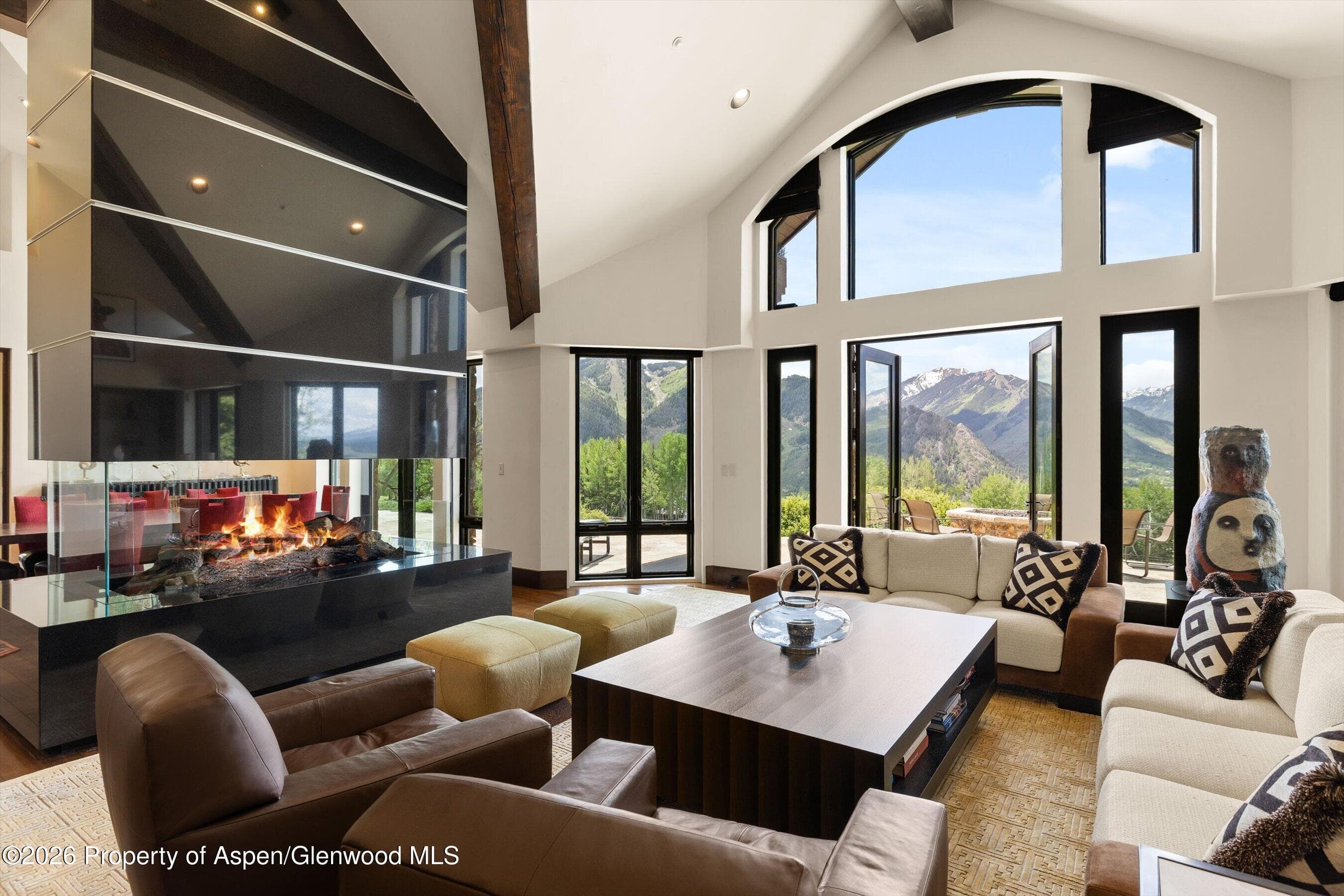 1682 Red Mountain Road, Aspen, CO 81611 - Photo 4