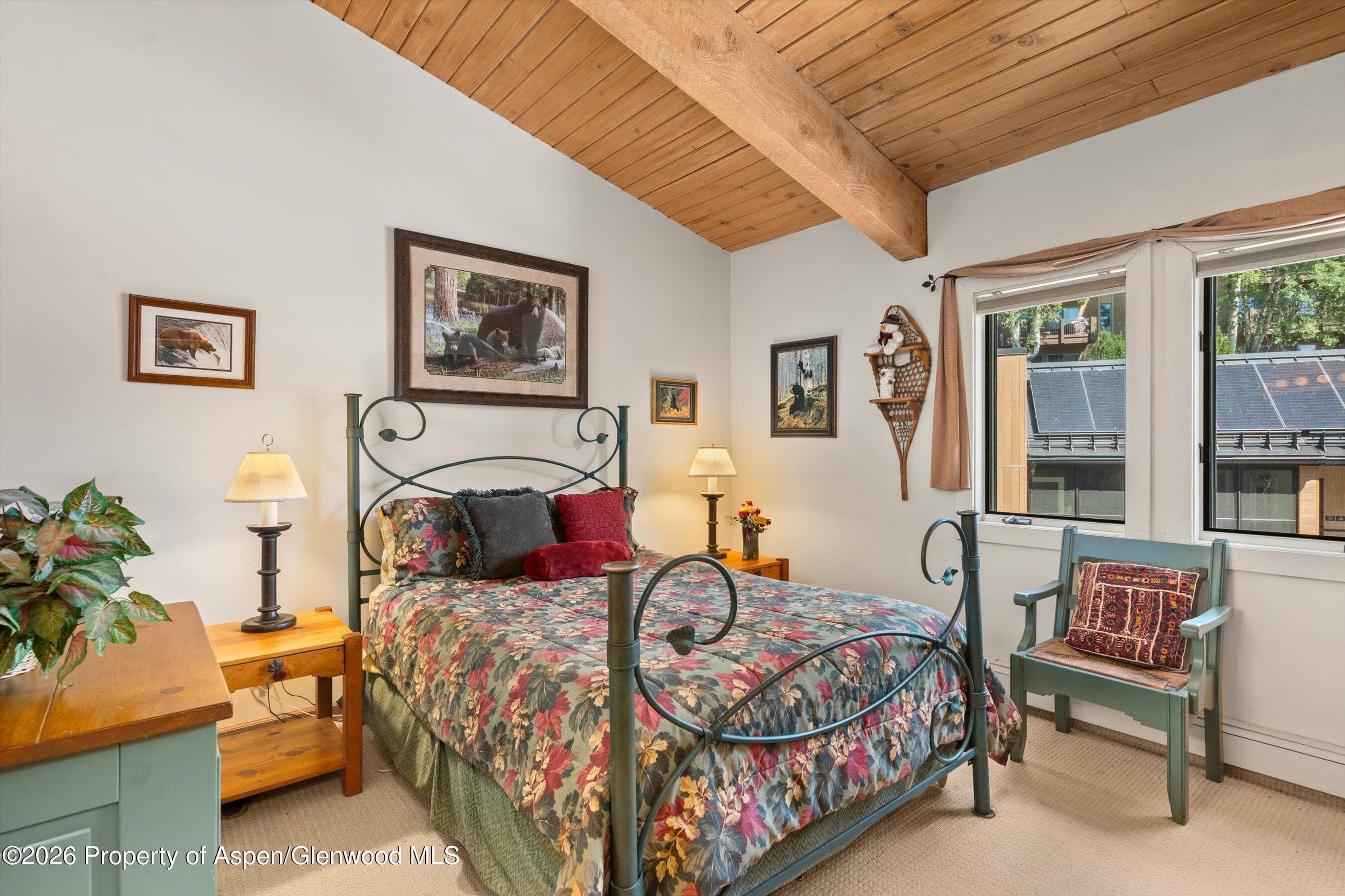 35 Upper Woodbridge Road 13cd, Snowmass Village, CO 81615 - Photo 14