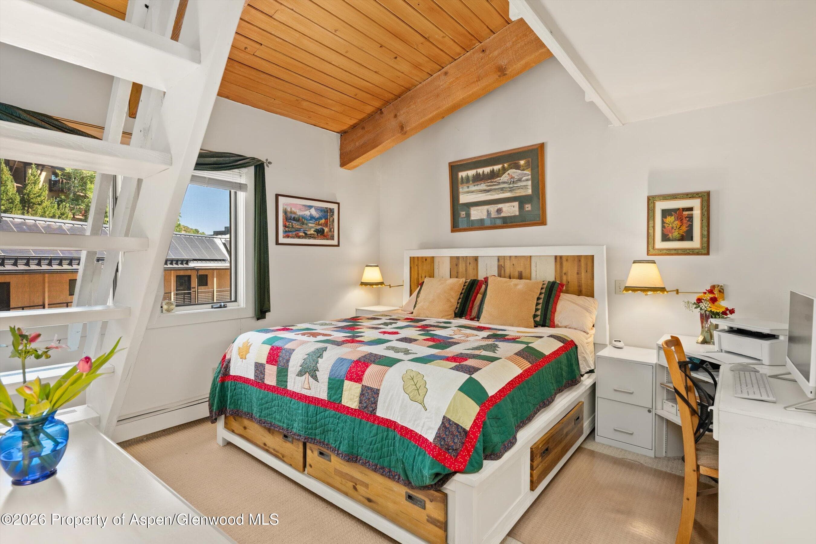 35 Upper Woodbridge Road 13cd, Snowmass Village, CO 81615 - Photo 17
