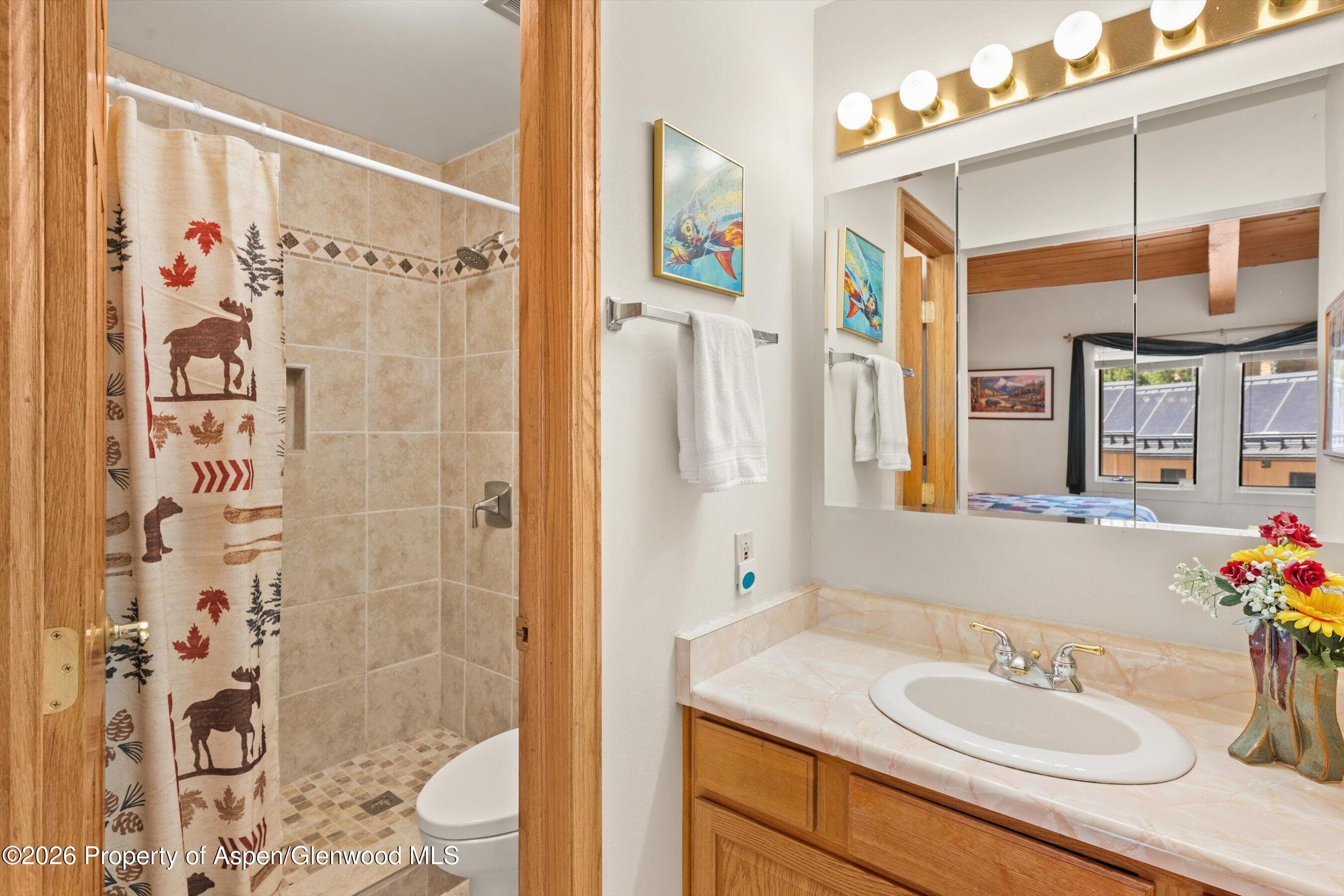 35 Upper Woodbridge Road 13cd, Snowmass Village, CO 81615 - Photo 19