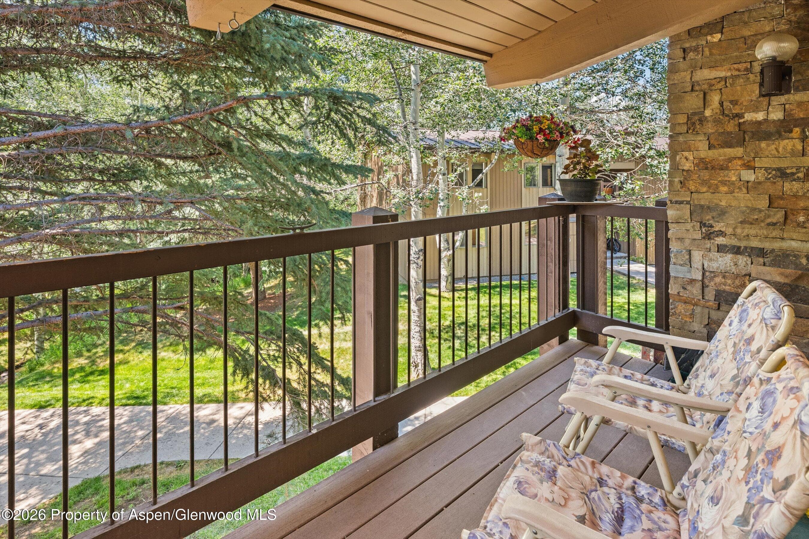 35 Upper Woodbridge Road 13cd, Snowmass Village, CO 81615 - Photo 22