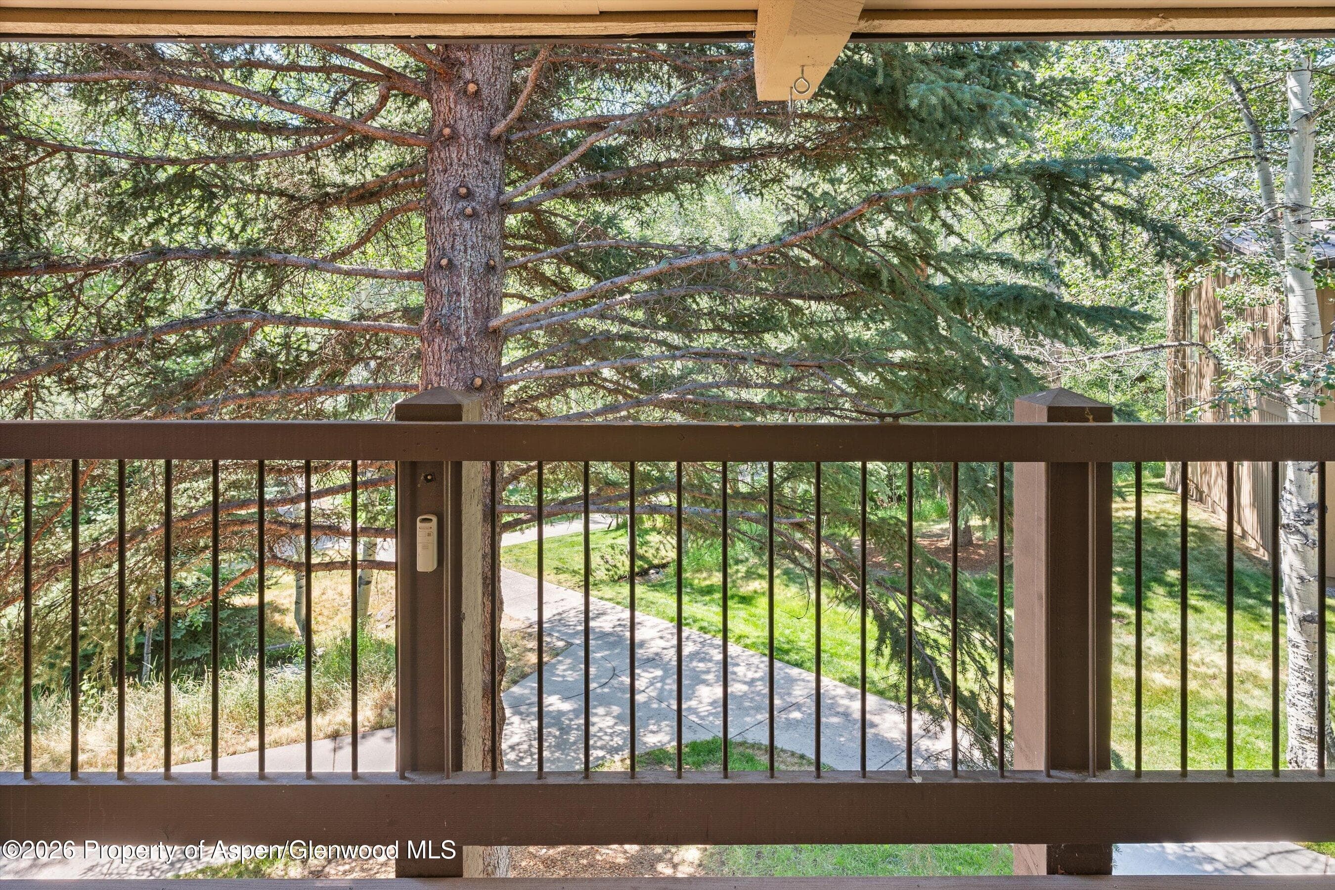 35 Upper Woodbridge Road 13cd, Snowmass Village, CO 81615 - Photo 23