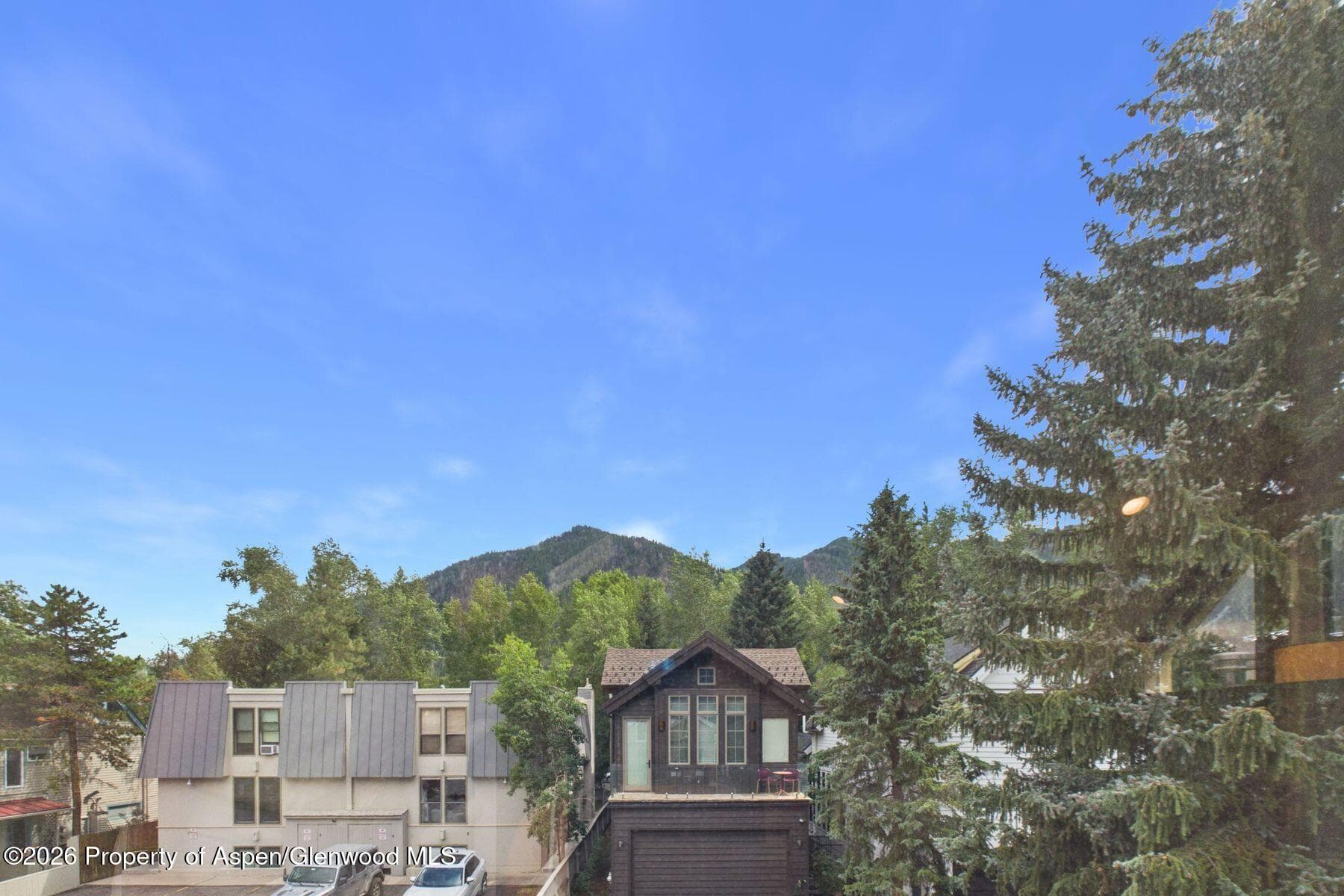 915 E Hopkins Avenue 4, Aspen, CO 81611 - Photo 6
