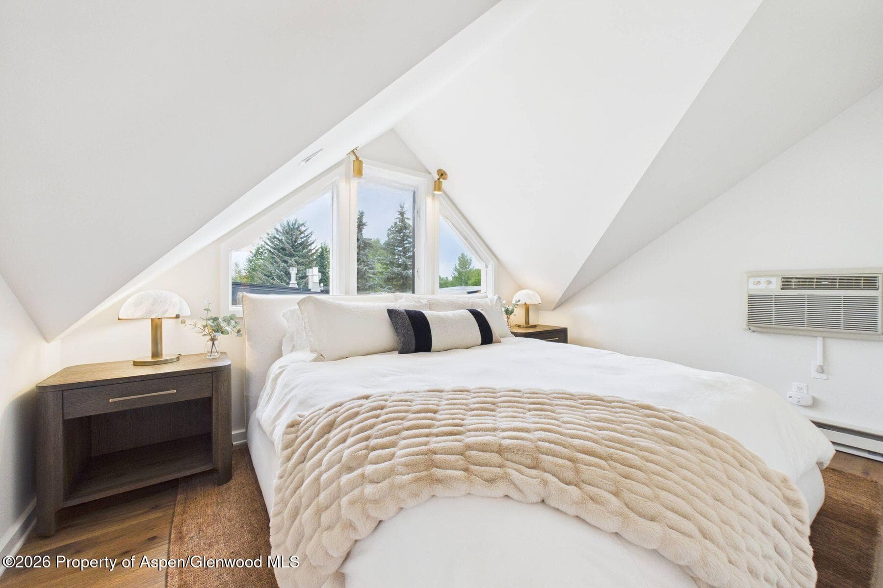 915 E Hopkins Avenue 4, Aspen, CO 81611 - Photo 12