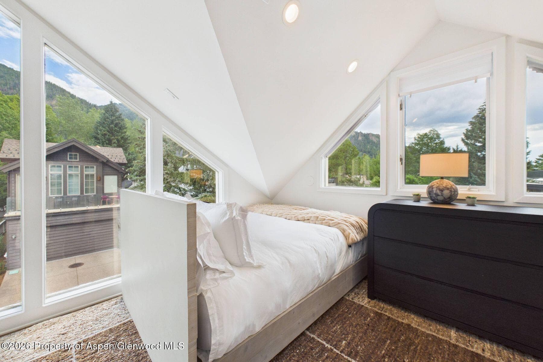 915 E Hopkins Avenue 4, Aspen, CO 81611 - Photo 19